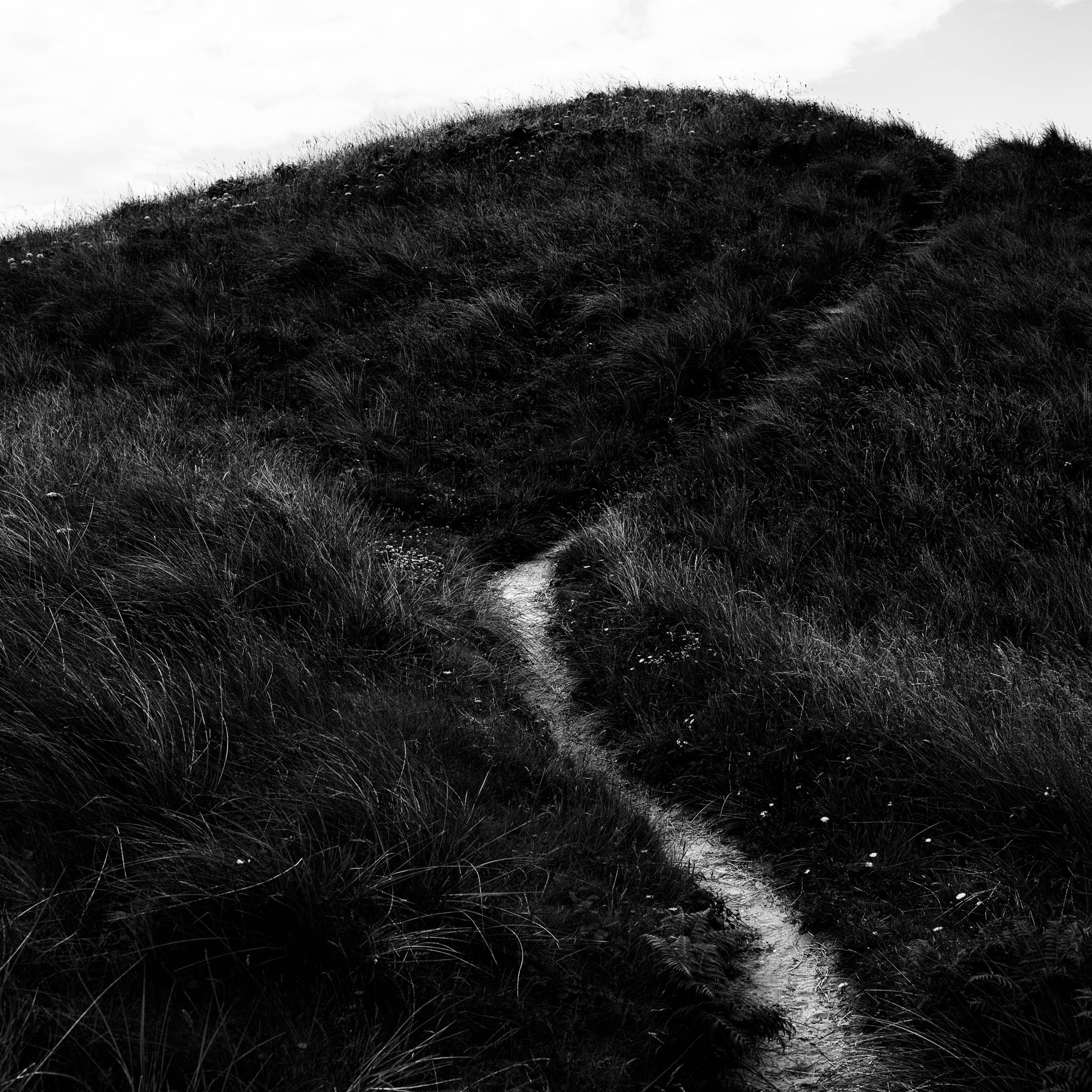 A narrow path in the grass leading to the edge of the cliff on Llanddwyn Island