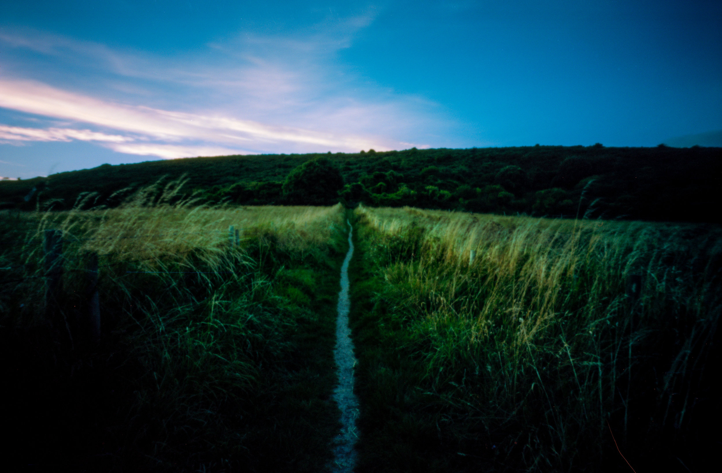 Kodak Portra 160 of sunset in the southwest of England