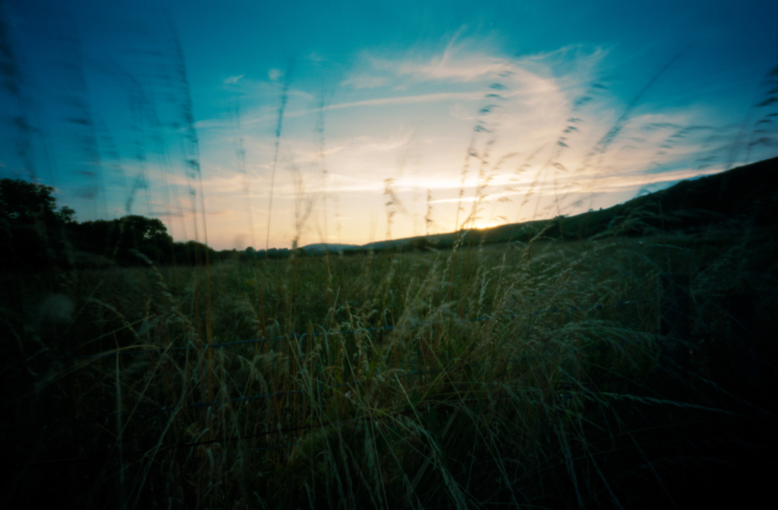 The motion blur is the result of wind and a long exposure to capture the sunset over some English farmlands