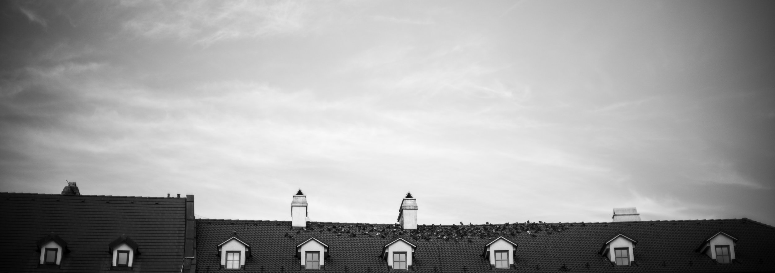 Not all of my pigeon watching and timing was as successful as that first shot. In this case, these pigeons had their feet glued firmly to the rooftops in Bratislava. But the leaning and not level roof dotted with birds still makes for an interesting image.