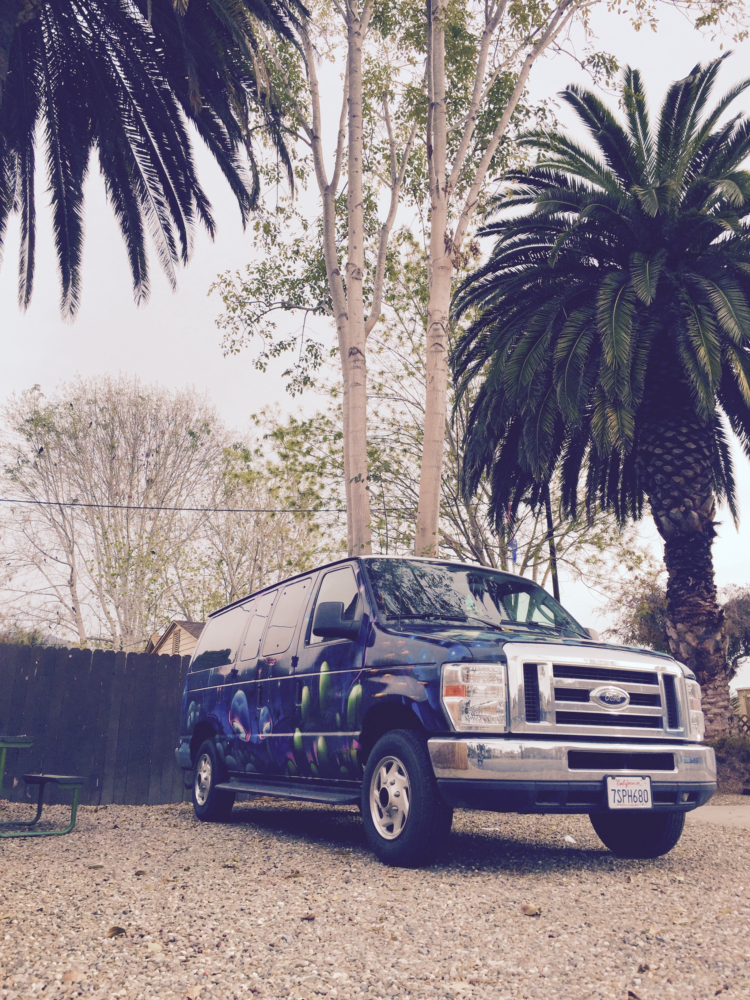 Sulley, the neon mushroom van!