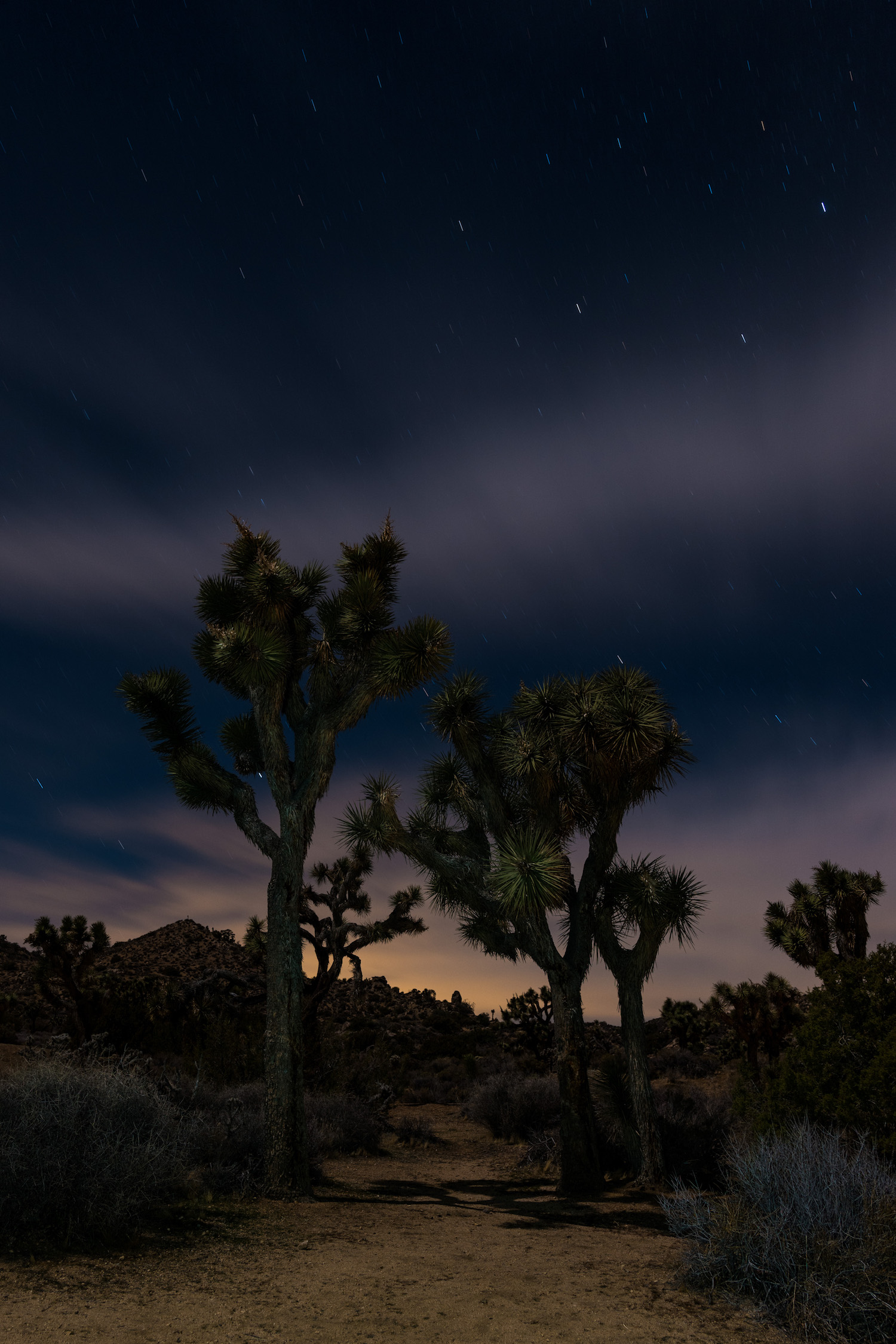 A 2 minute exposure of Joshua Tree National Park - that took 4 minutes to get.