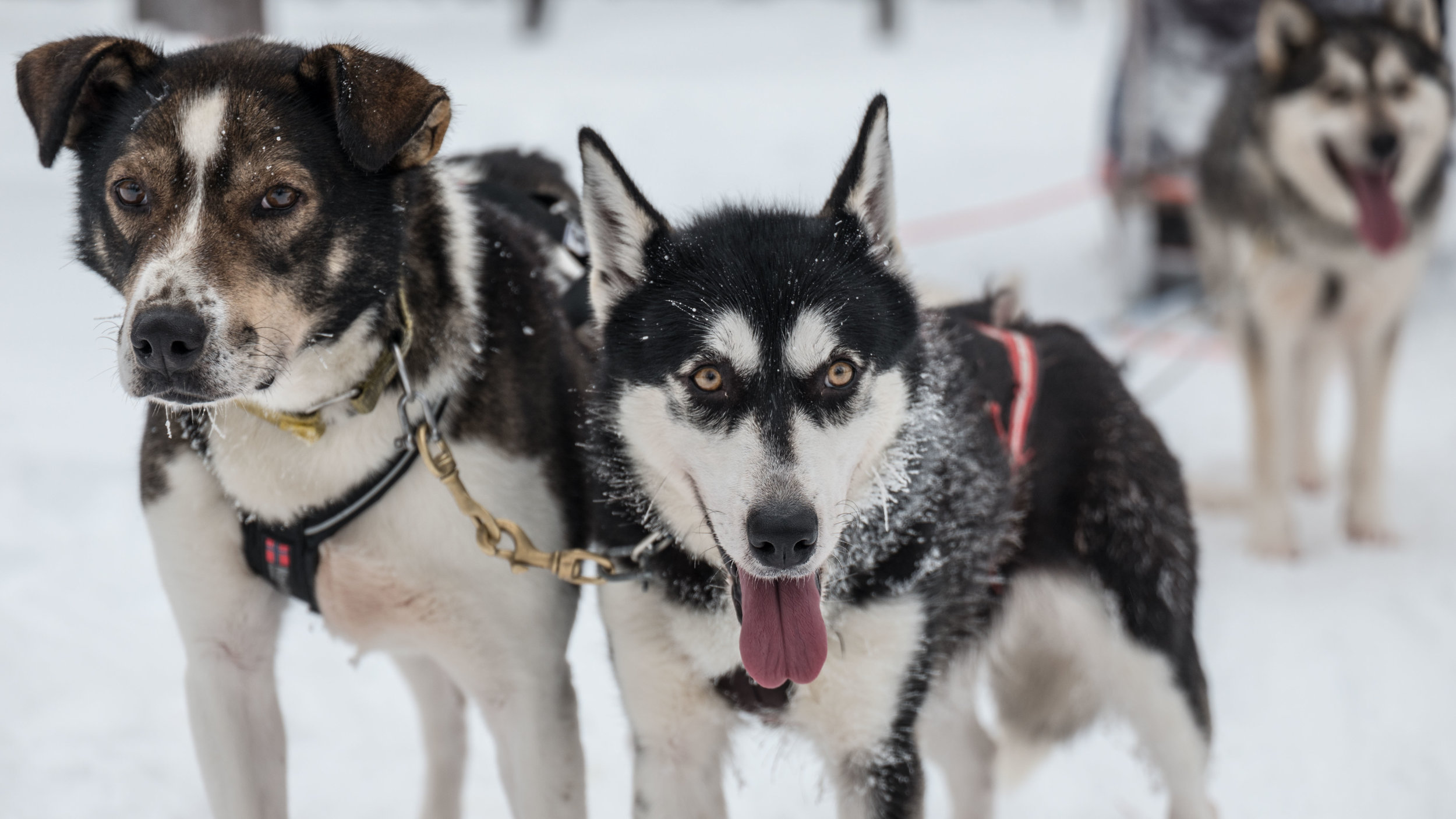 Celina (right) was the boss