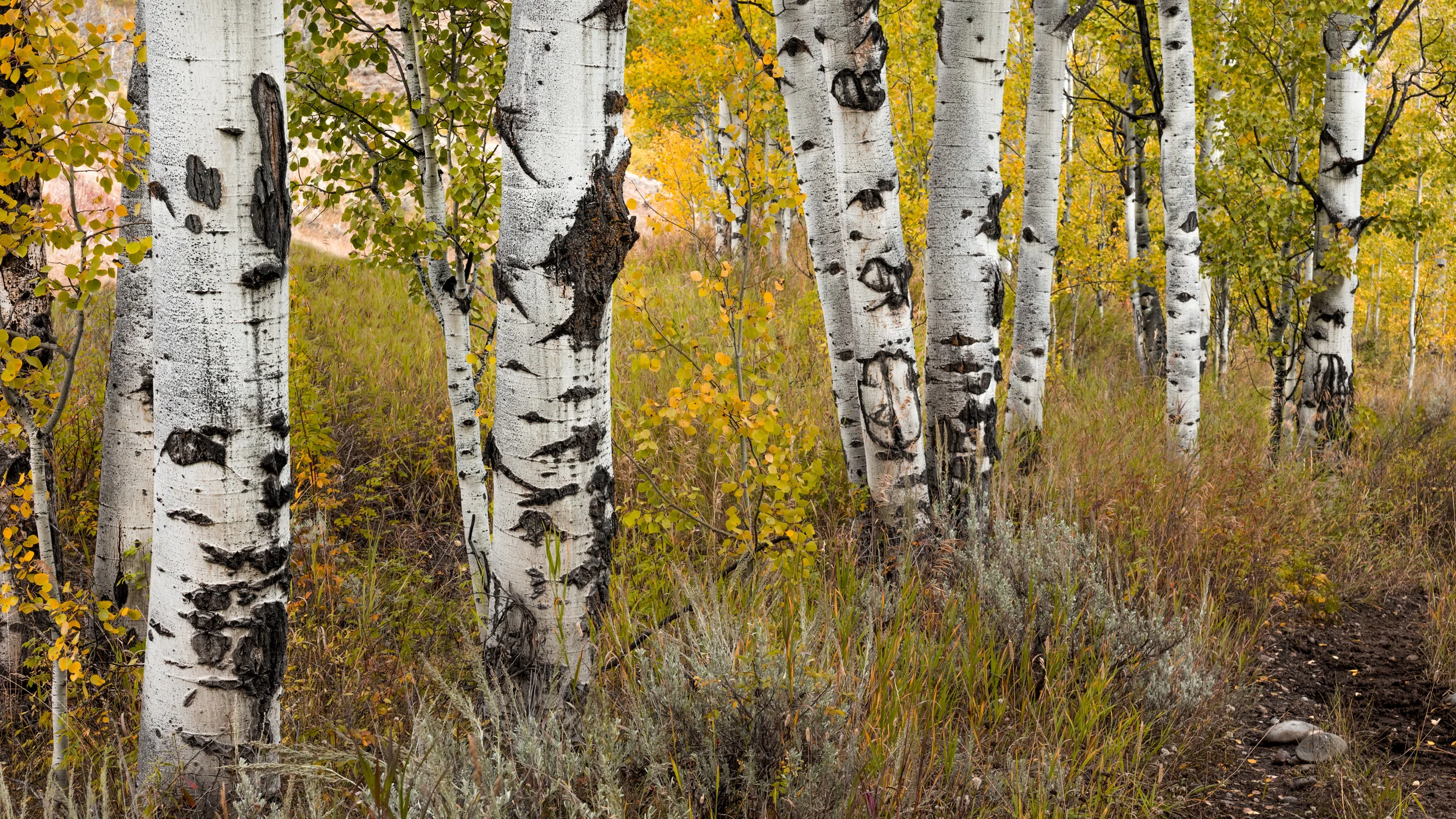 L1030300-Edit.jpg