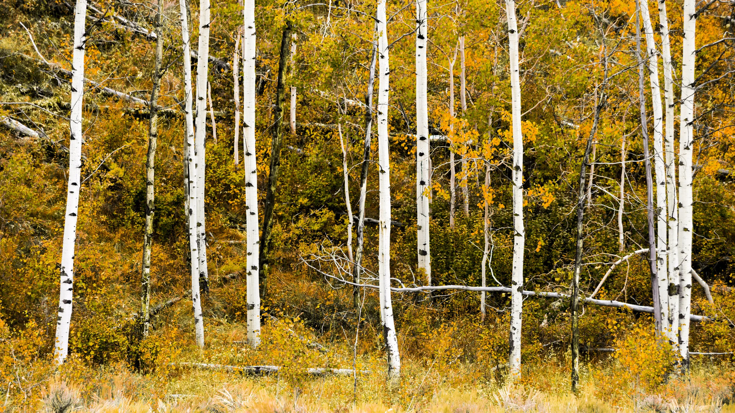 L1030341-Edit.jpg