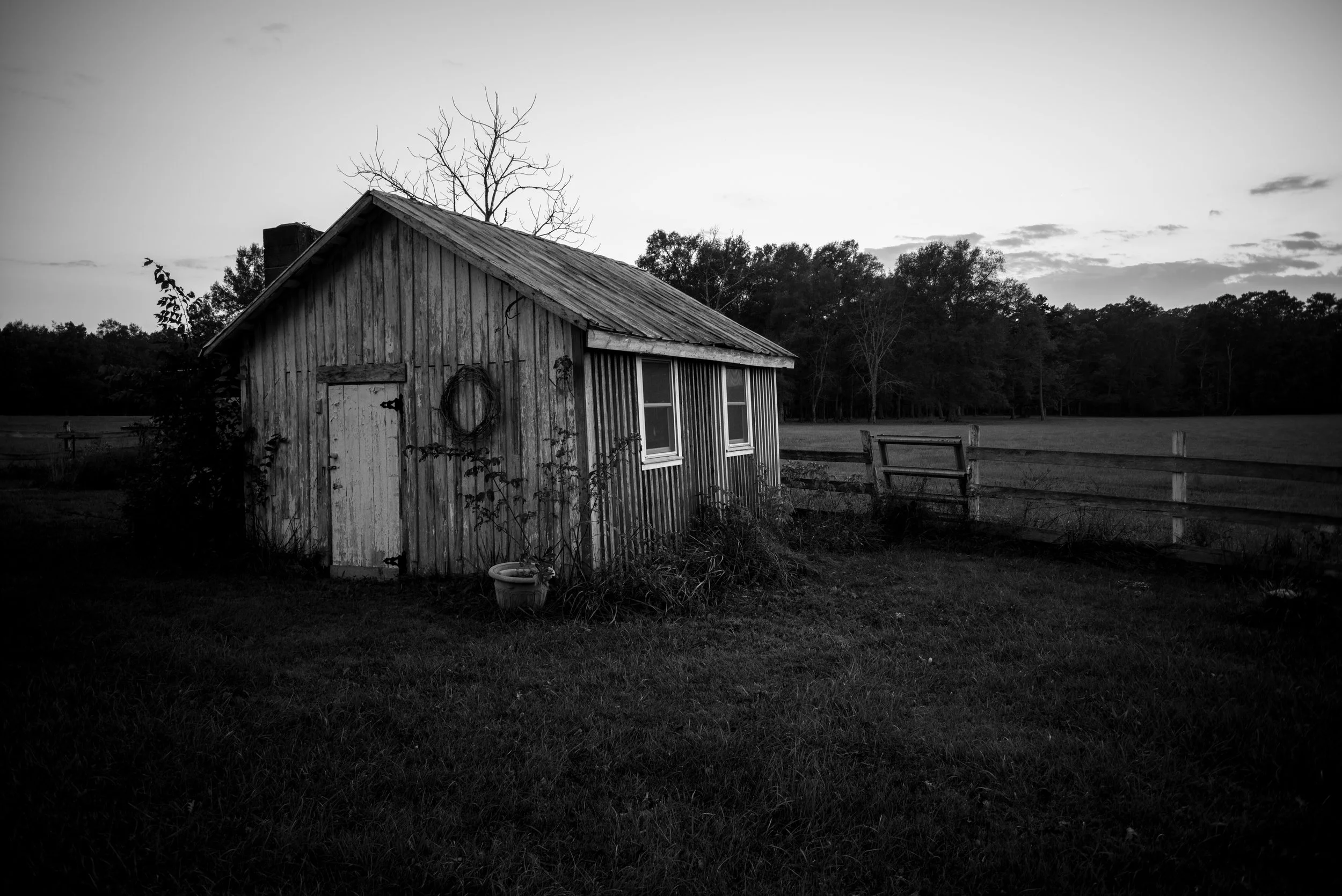 A shed sitting along the edge of the property.