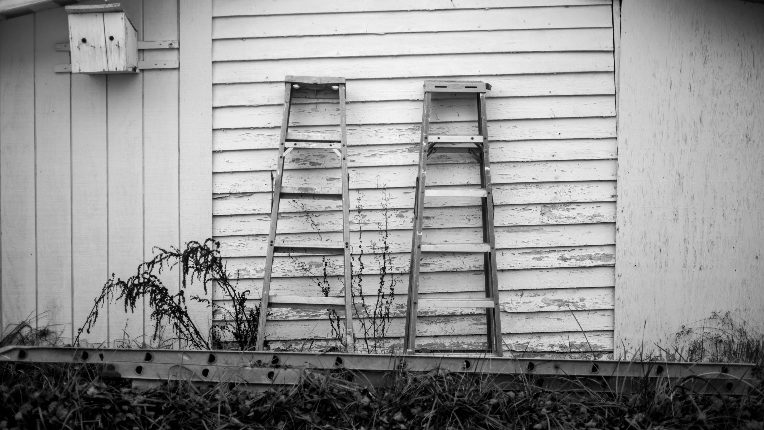 Two ladders leaning up on the side of the workshop