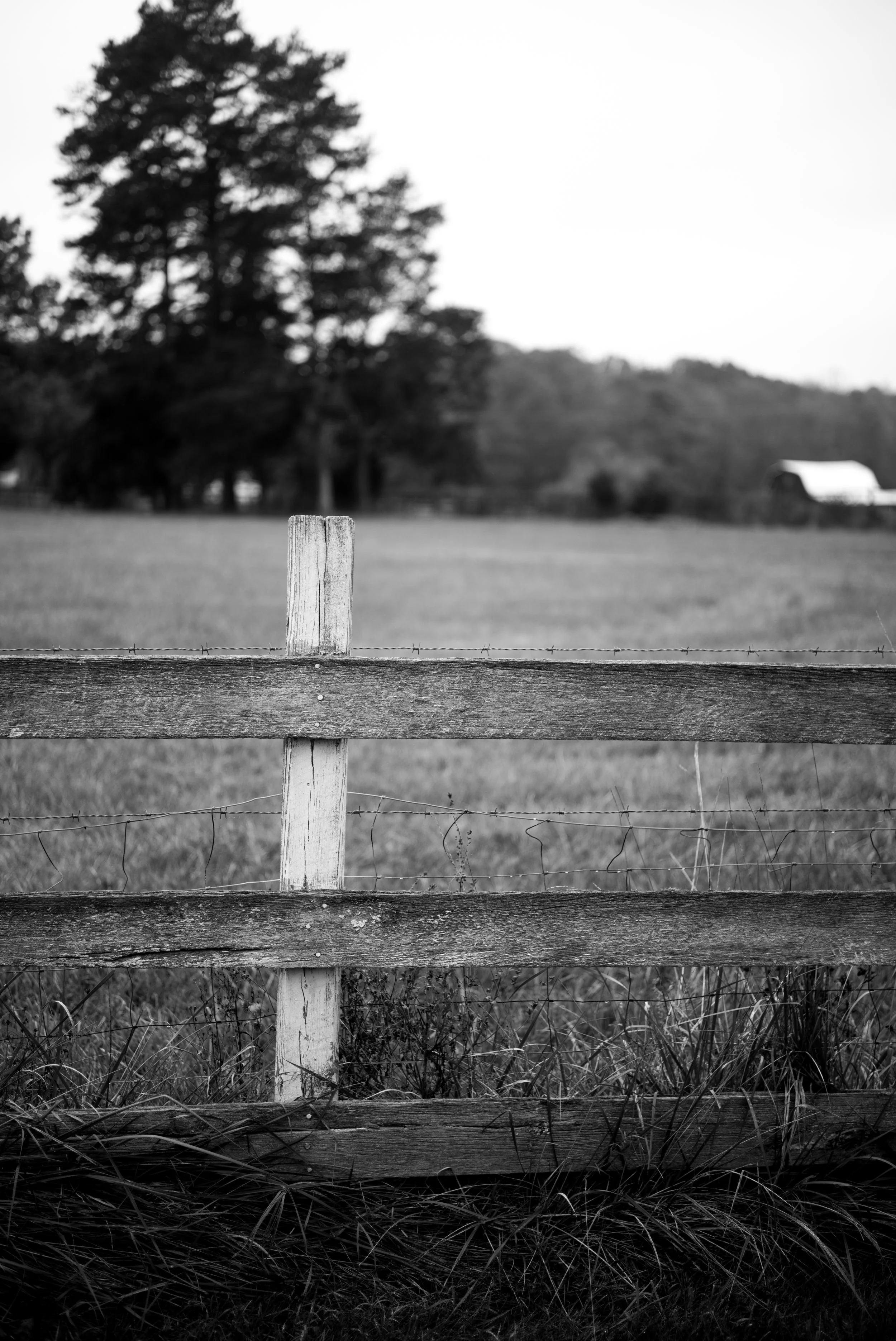 Looking over the fence toward the neighbor's farm