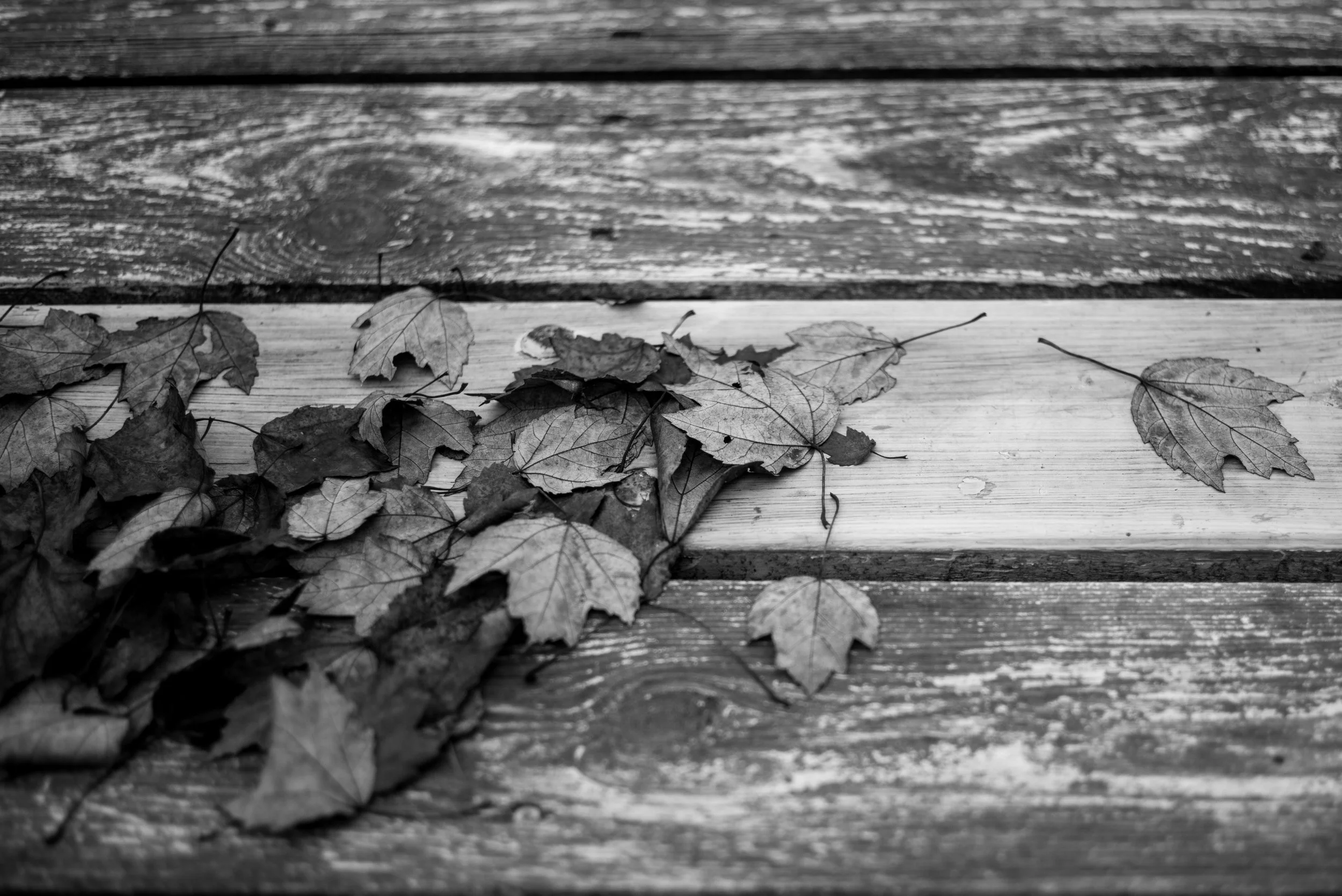 A pile of leaves on a table in the yard
