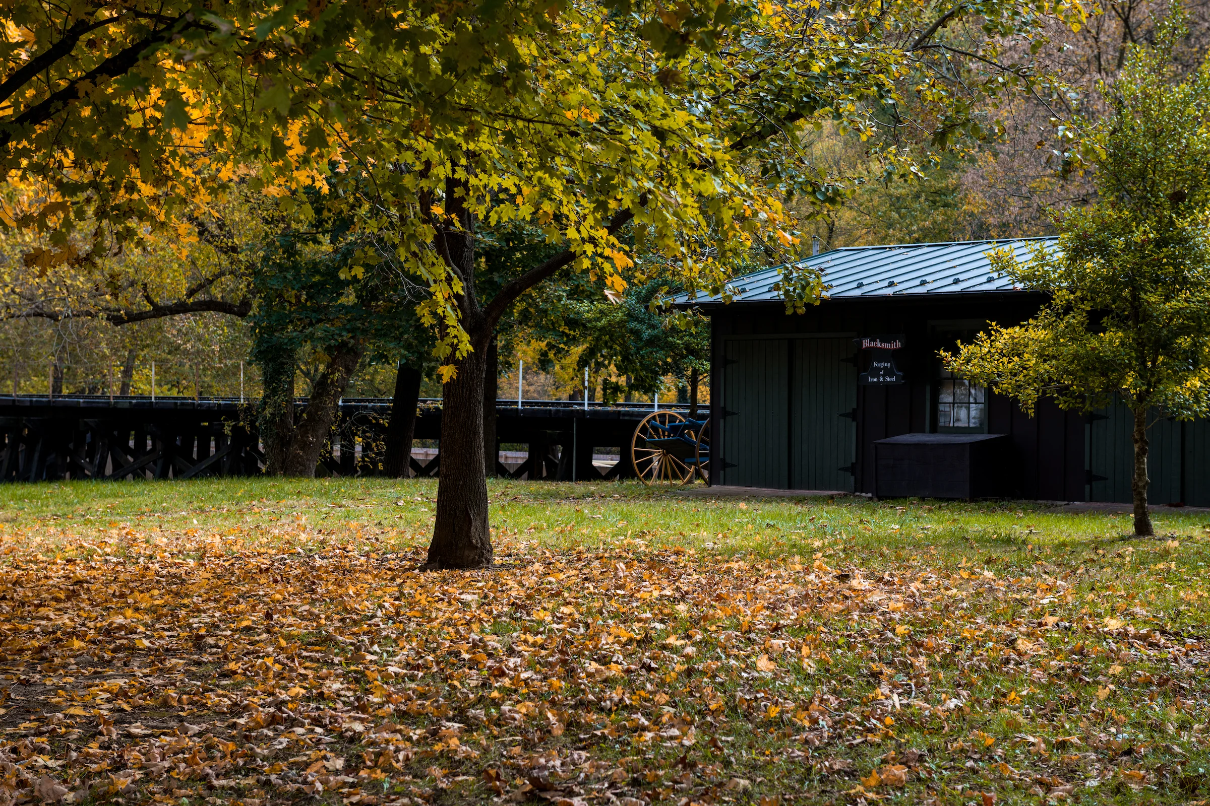 _D850615.jpg