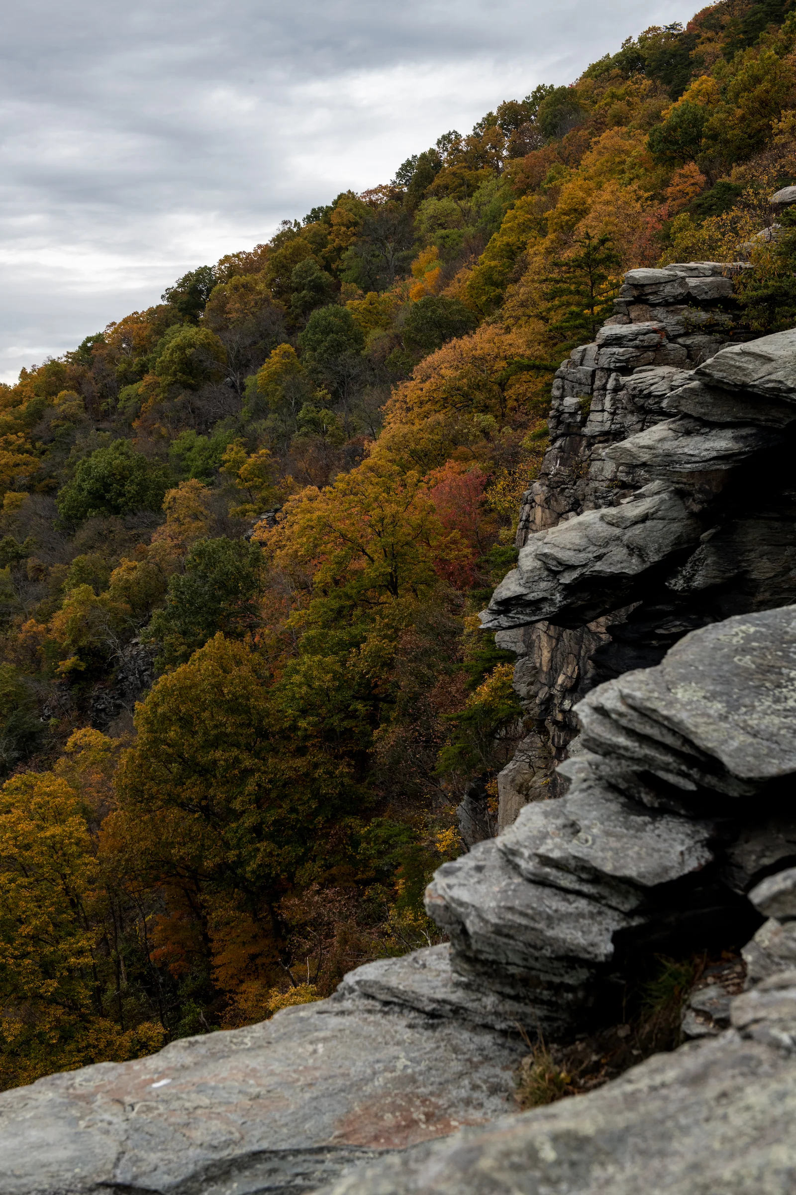 _D850673.jpg