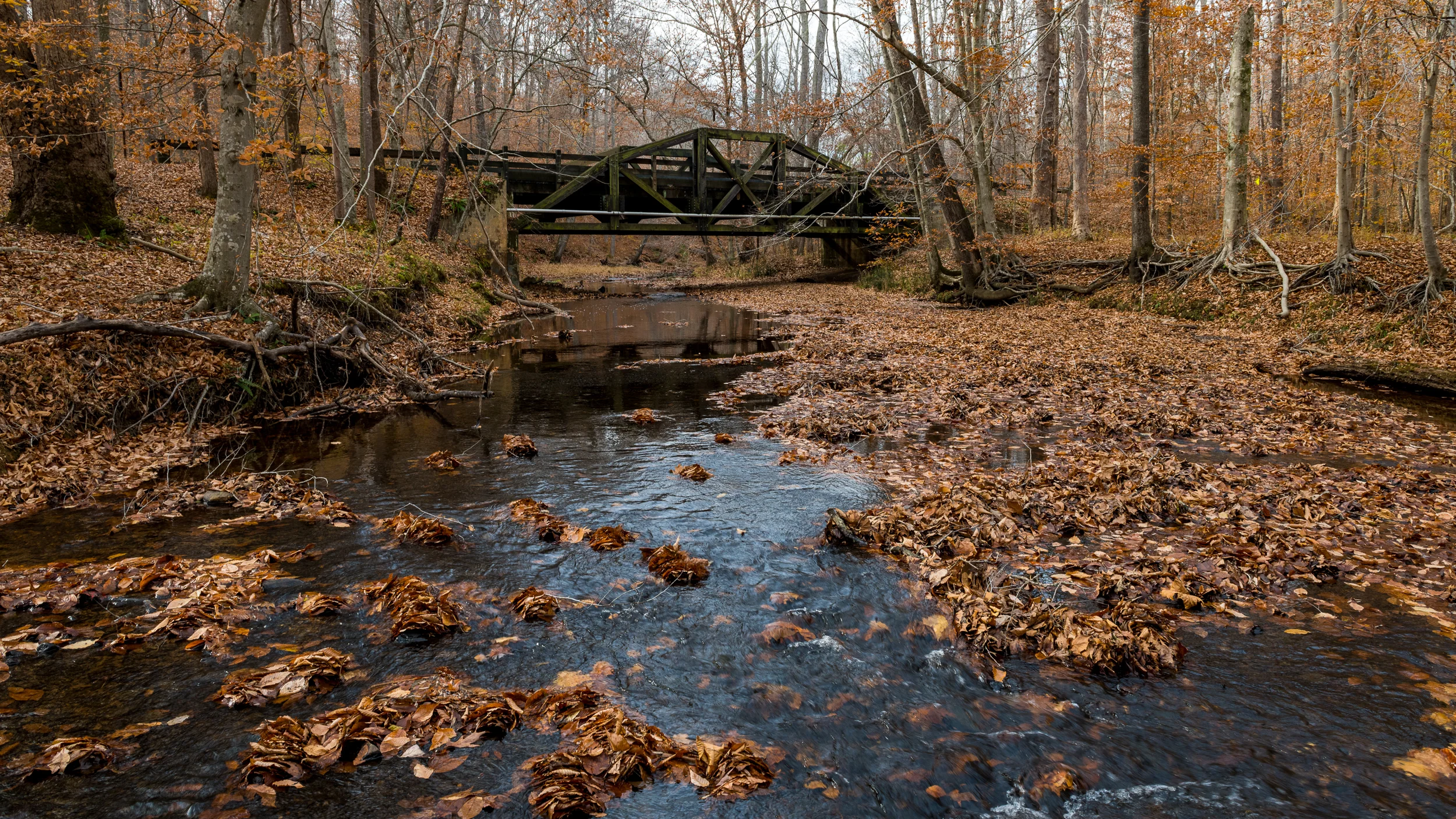Another bridge at the edge of the Prince William Forest scenic drive