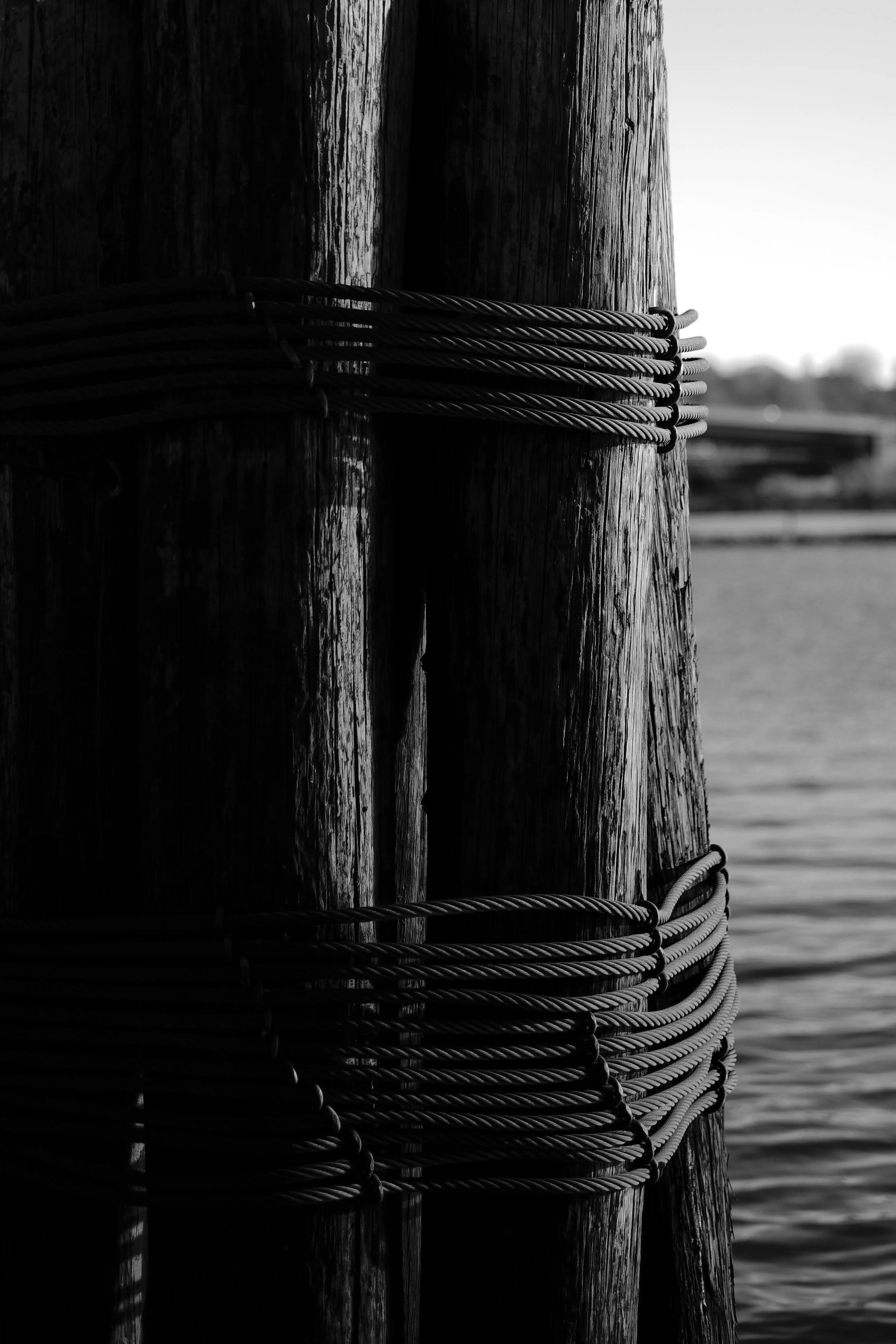 Moorings at the Navy Yard - Leica M10 with 50mm Summicron "Made in Canada"