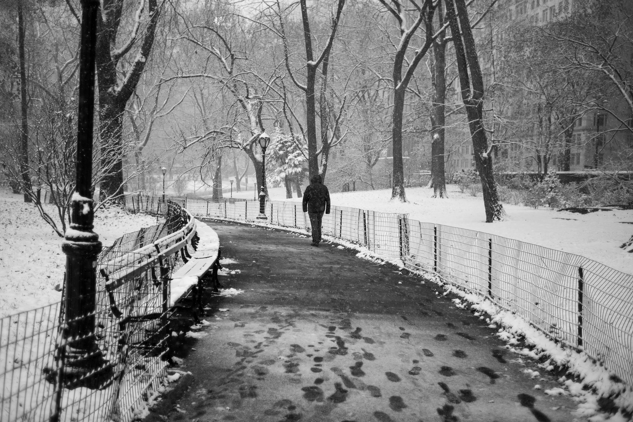 A man strolls through the snow in Central Park