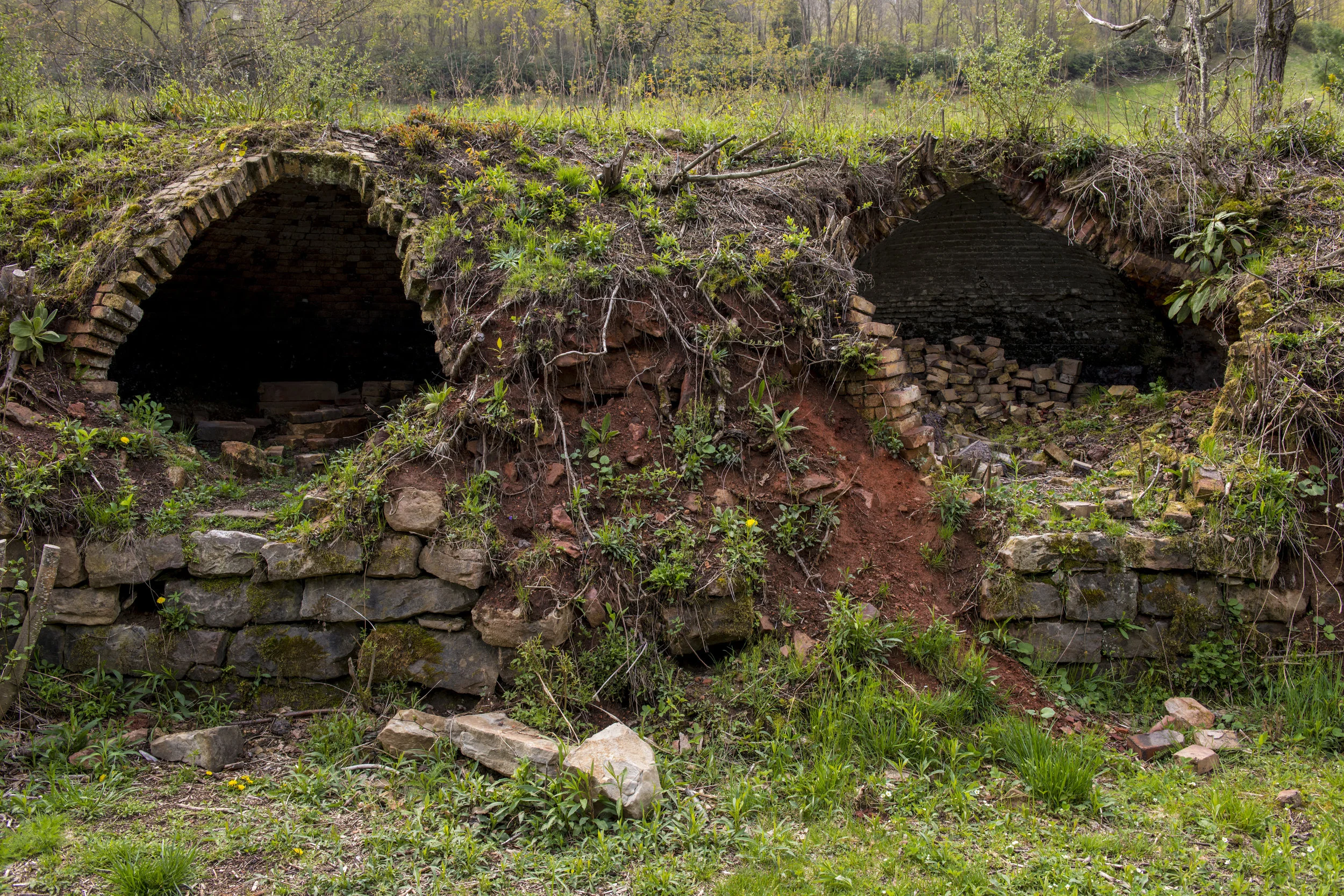 Old beehive coke ovens line the roadway leading to Douglas Falls. At one time, there were over 500 of these ovens polluting the surrounding habitats.