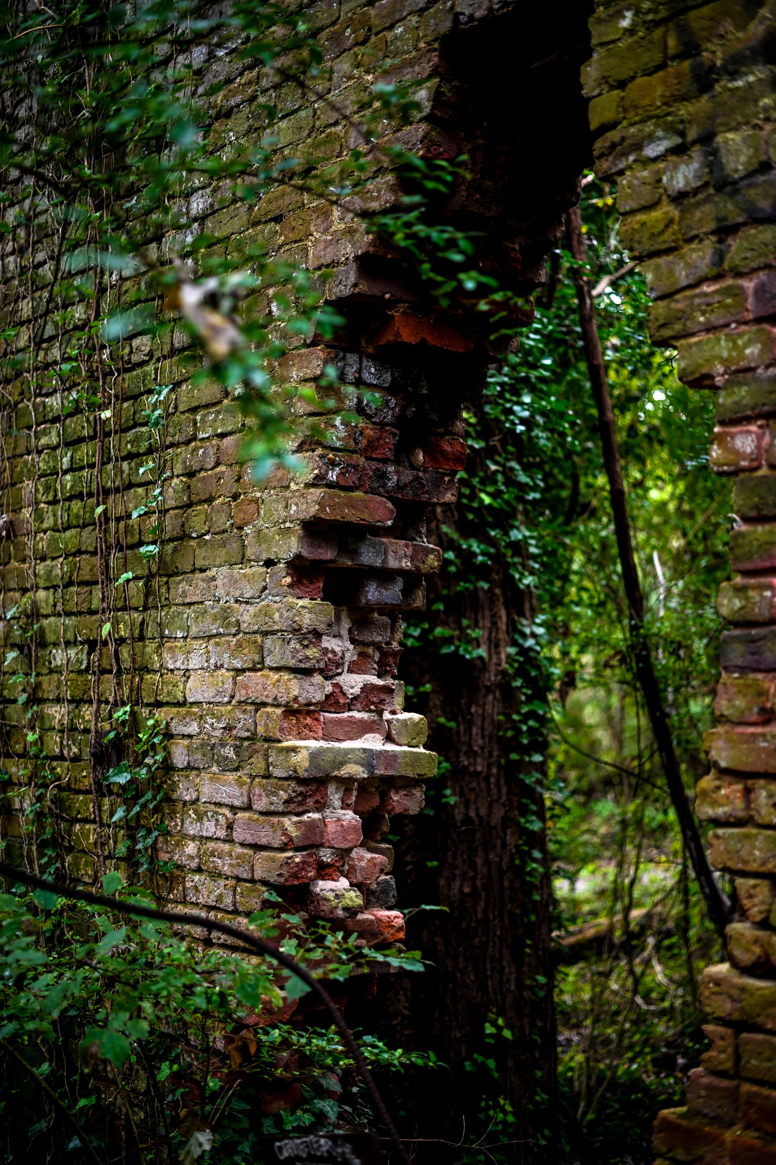 _DSC0873.jpg