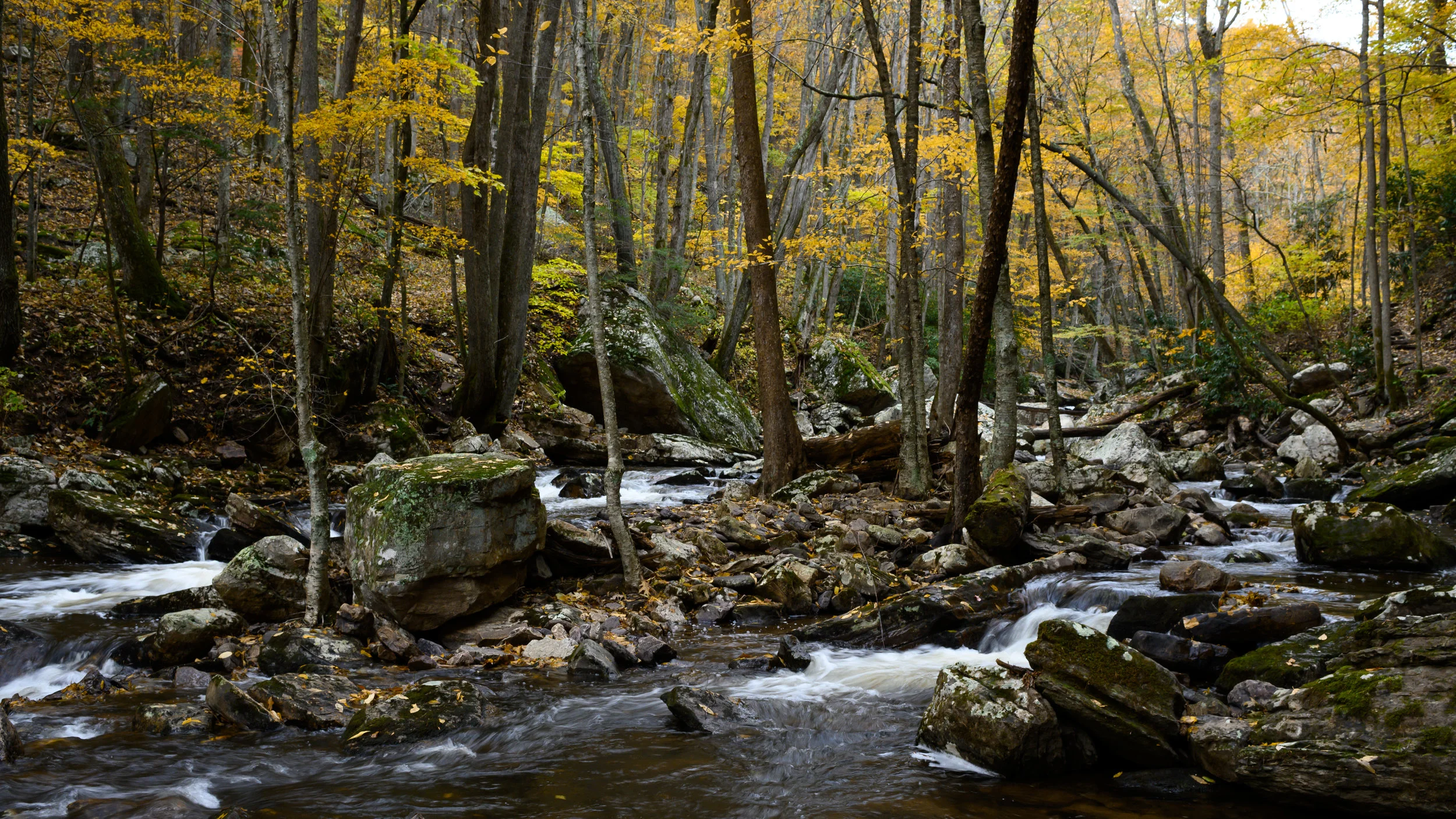 _DSC1579.jpg