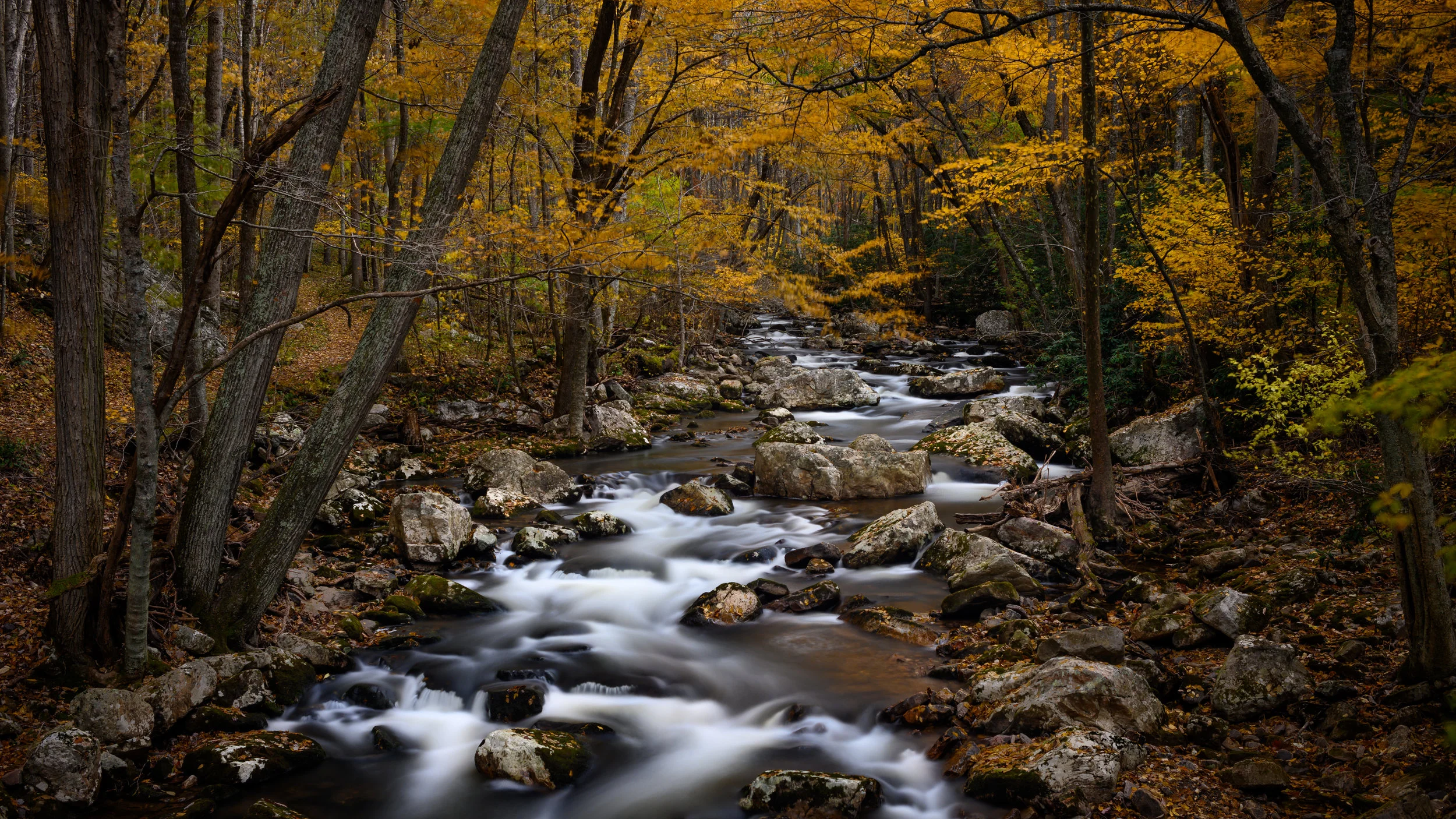_DSC1645.jpg