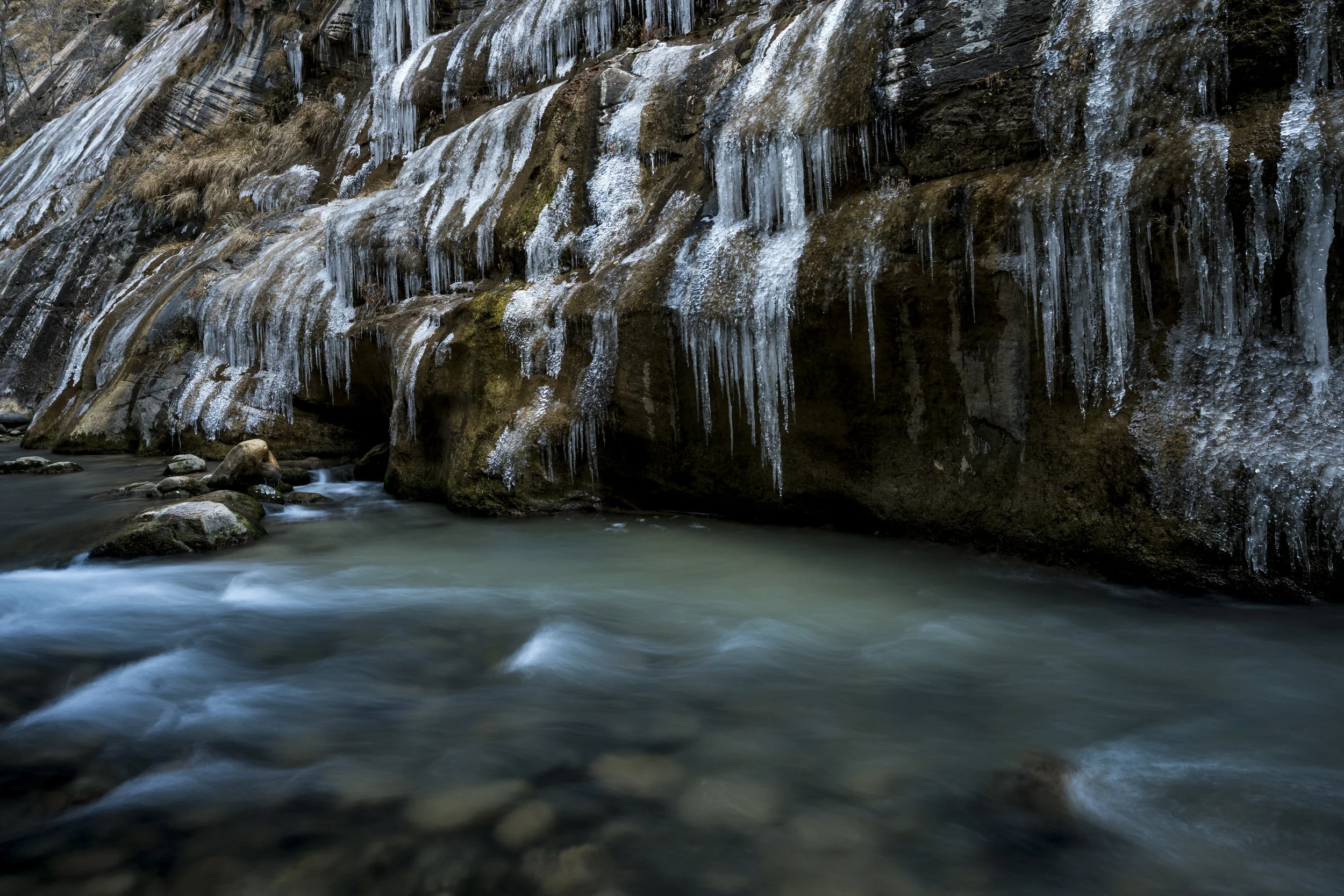 _DSC2572-2.jpg