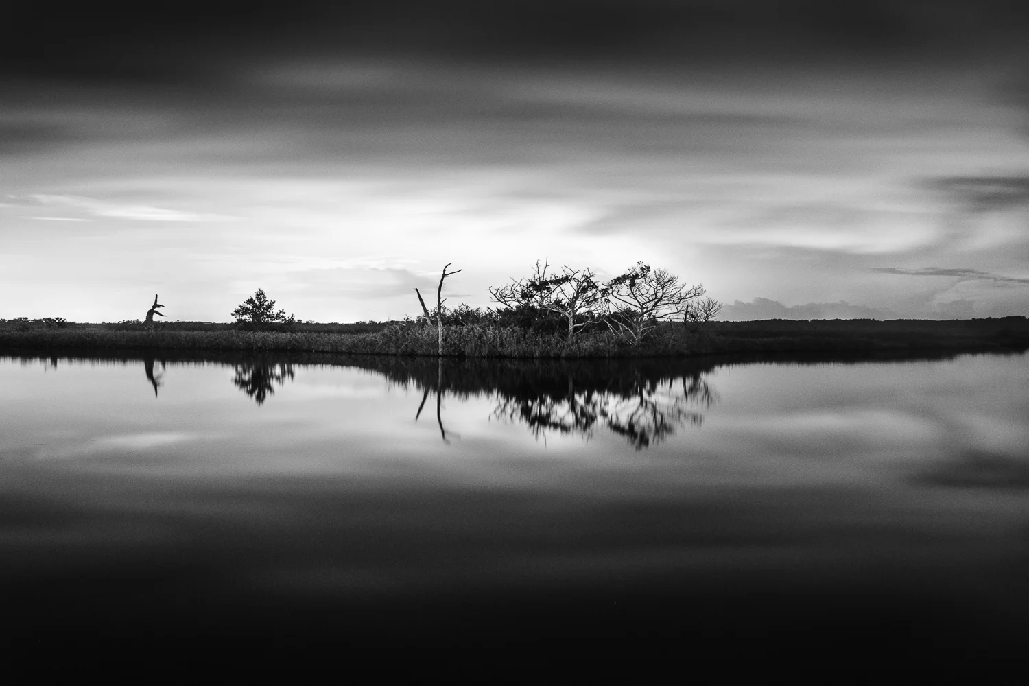 _MG_6438.jpg