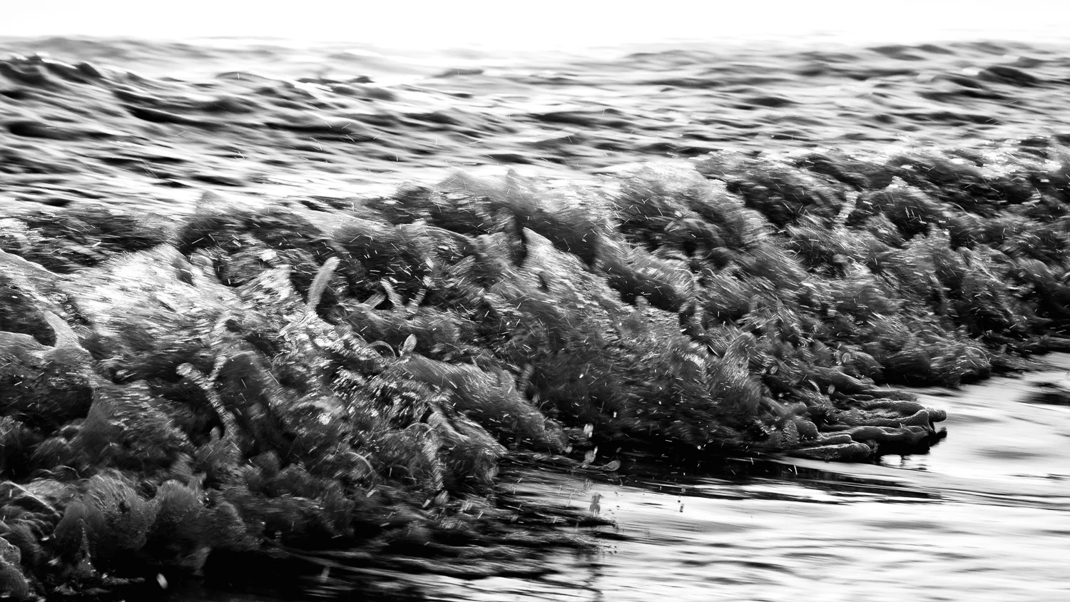 DSC_1044-Edit.jpg