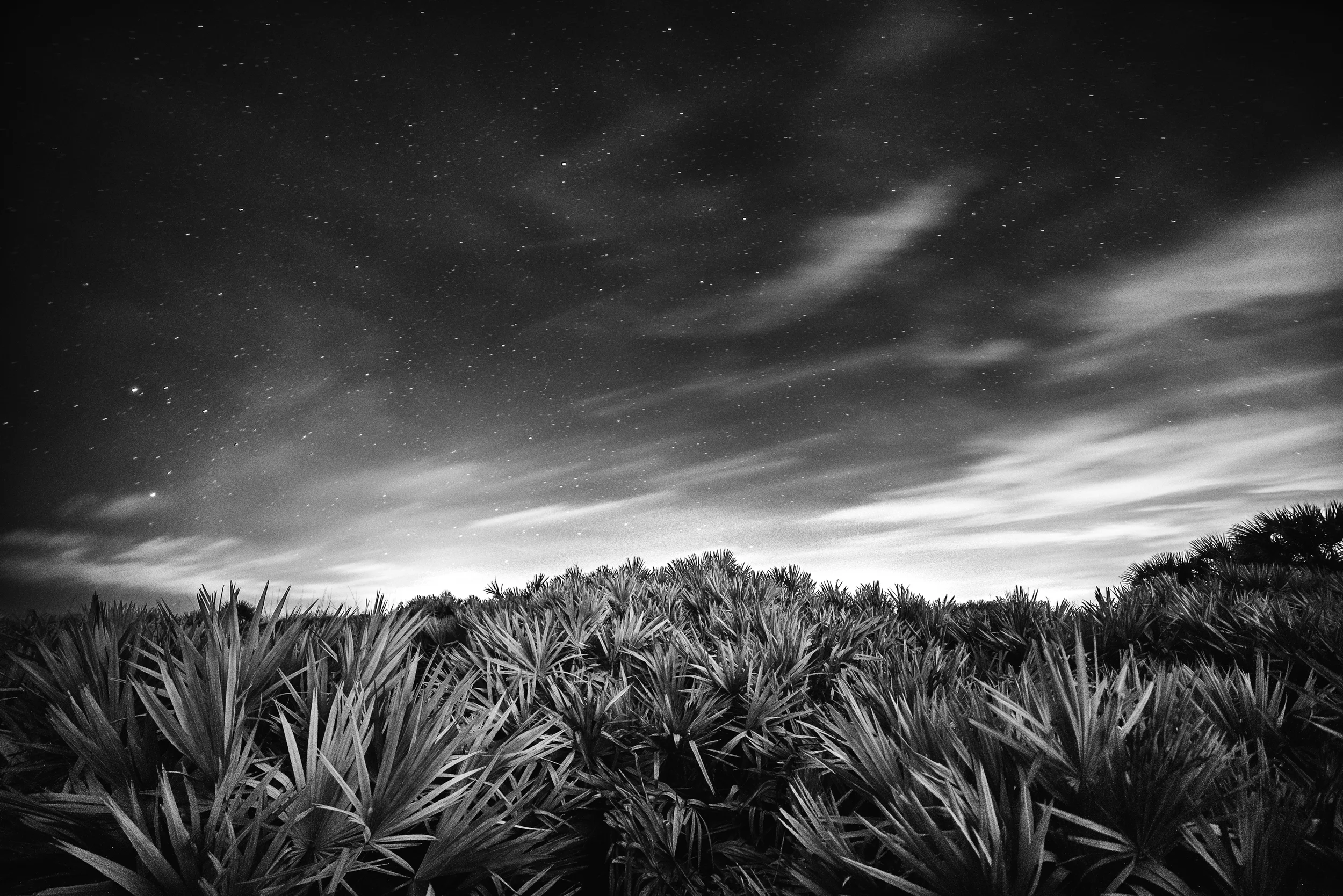 Ponce 03-15-15-72-Edit.jpg