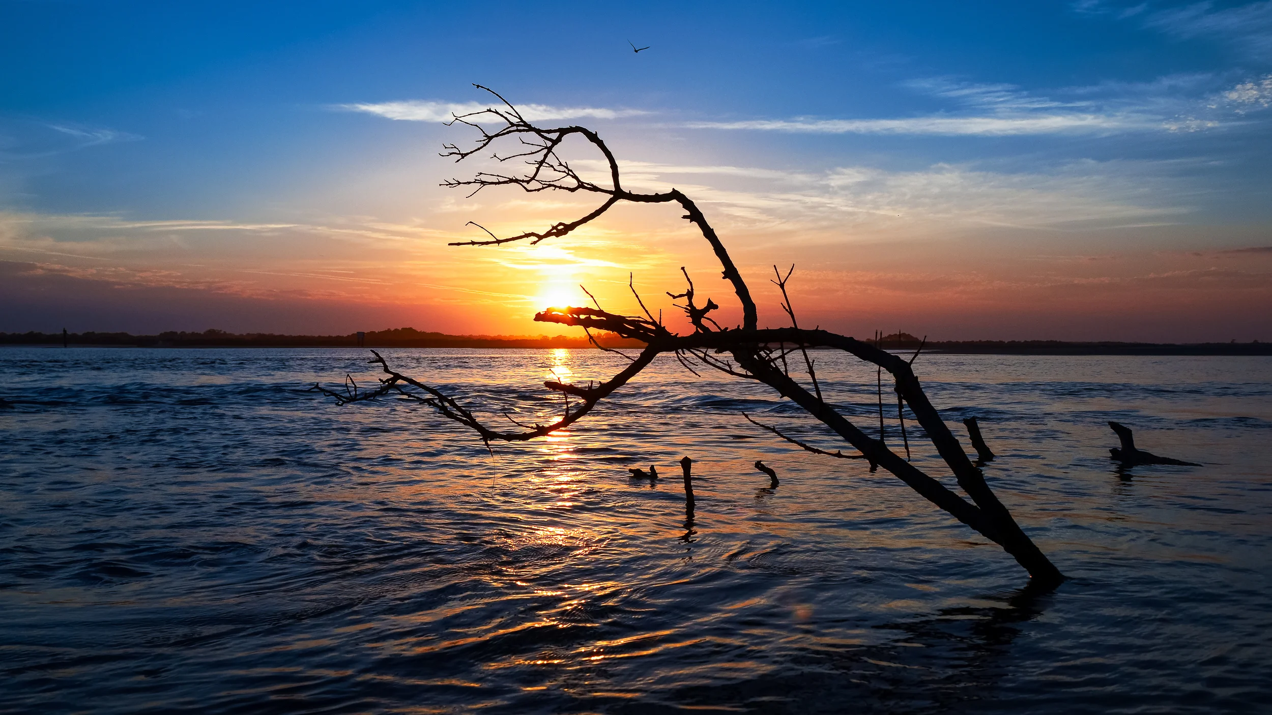 _DSC4744-Edit.jpg