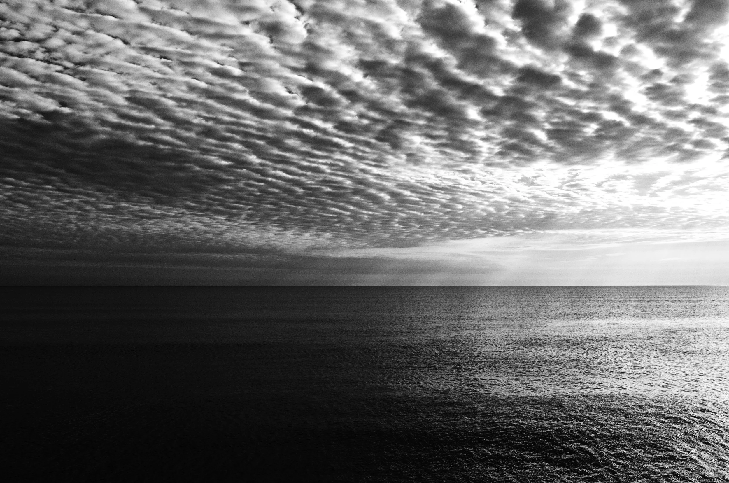 _DSC2520-Edit.jpg