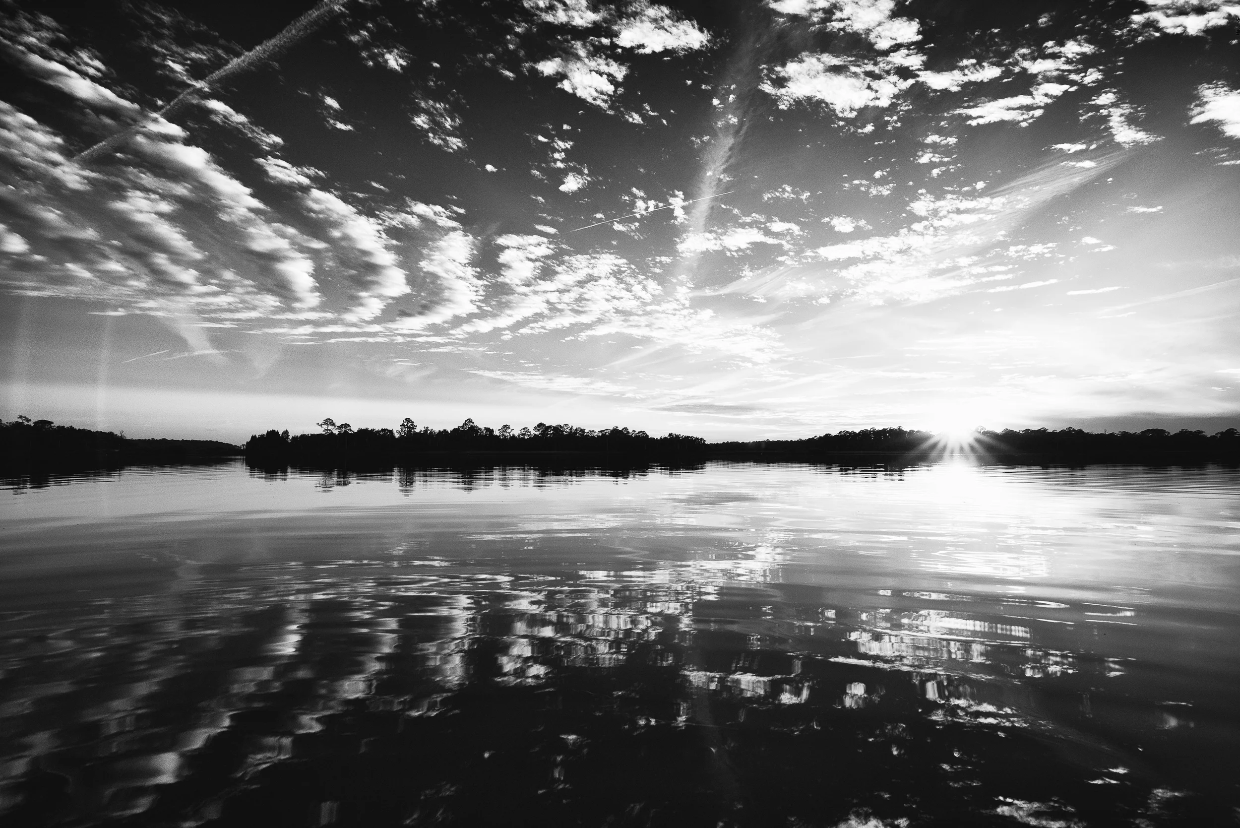 Ernie & Cassie-274-Edit.jpg