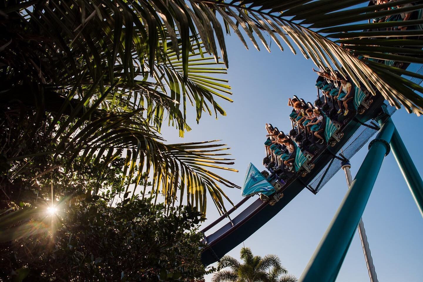 Shot this photo of some park goers on The Mako rollercoaster at SeaWorld in Orlando, FL. The sun was peeking just barely through the bushes creating a nice back light on the plants and hitting the rollercoaster as well! Shot on a Nikon D750 with a Ta