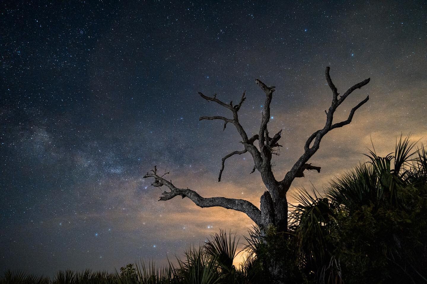 Went out last night to shoot the tau Herculid meteor shower! Unfortunately there weren&rsquo;t too many meteors to be seen BUT the stars were quite impressive and a bit of the Milky Way was visible! Shot on a Nikon Z6ii at ISO 6400, 24mm, f/2.8 for 5