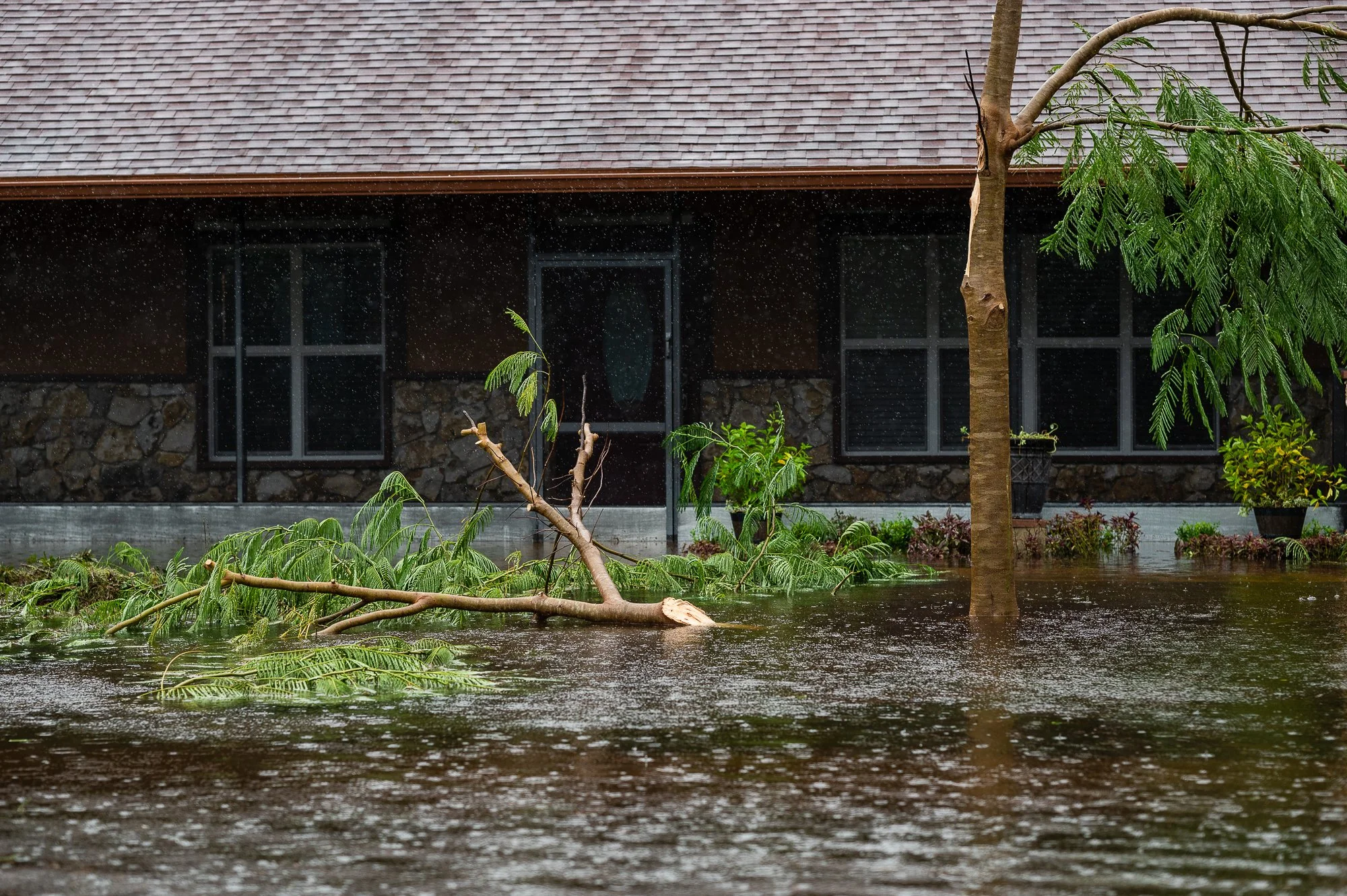 Hurricane Ian-46.jpg
