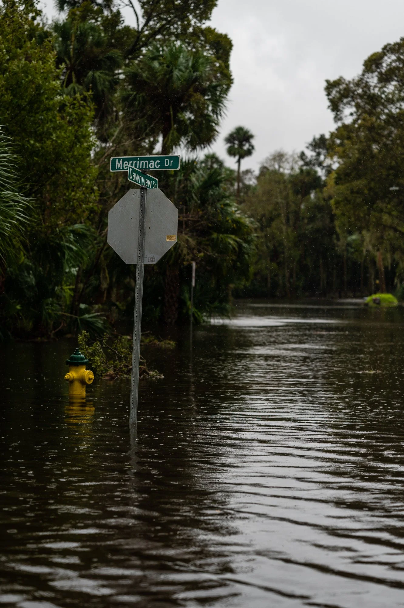 Hurricane Ian-54.jpg