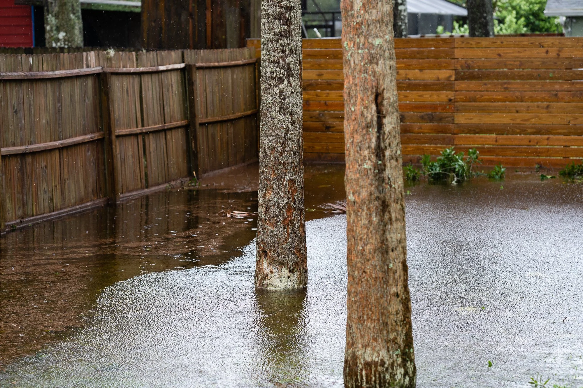 Hurricane Ian.jpg