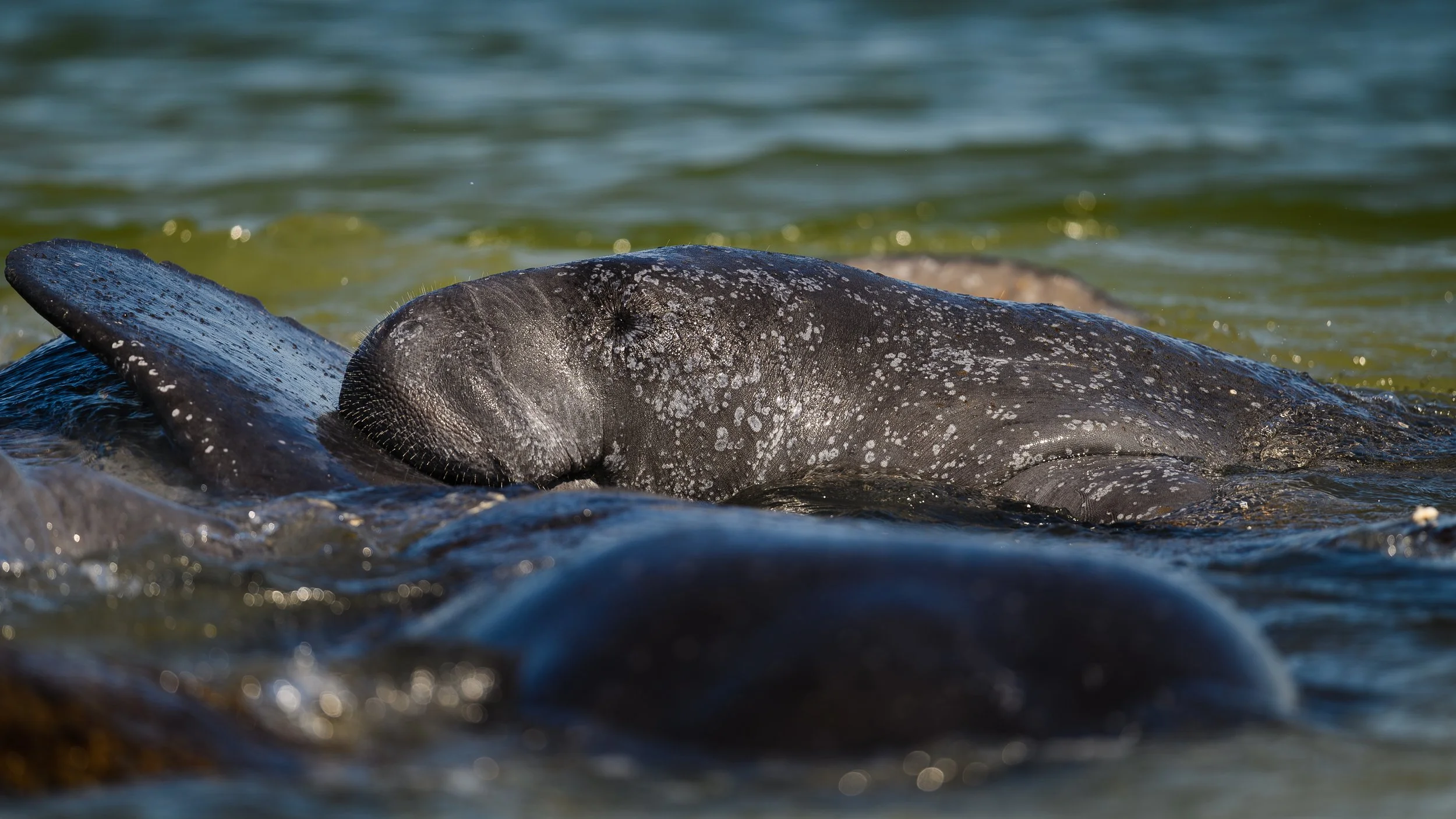 400mmPonceInlet-54.jpg
