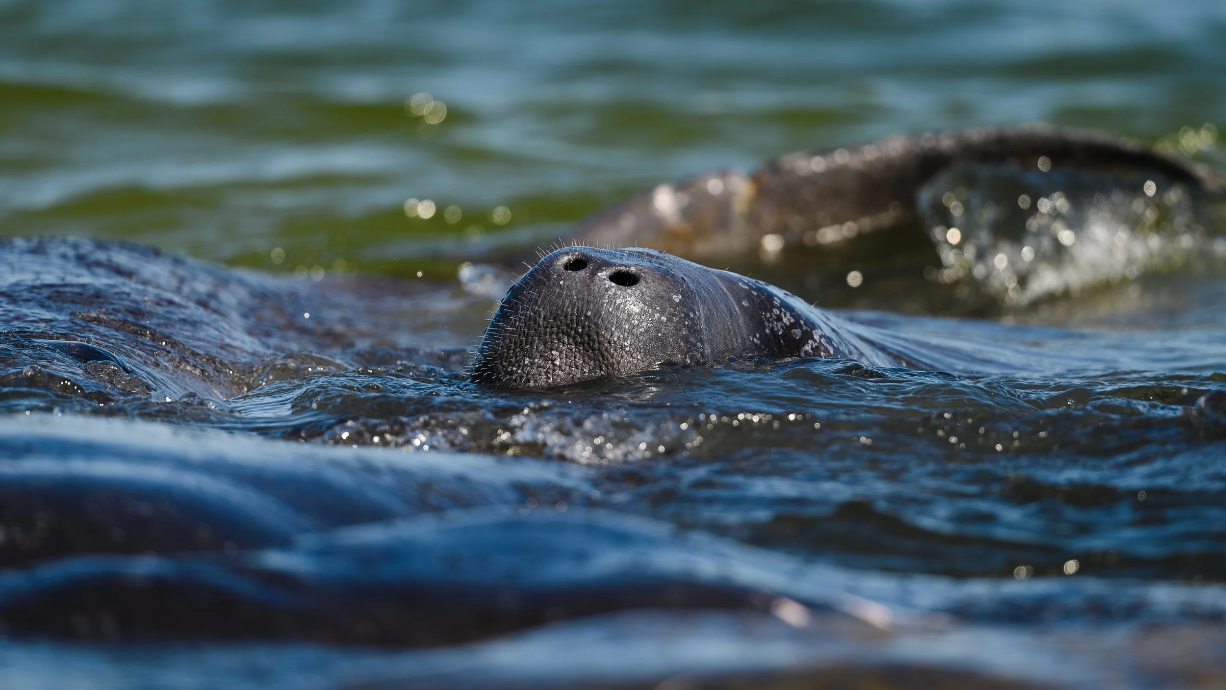 400mmPonceInlet-56.jpg