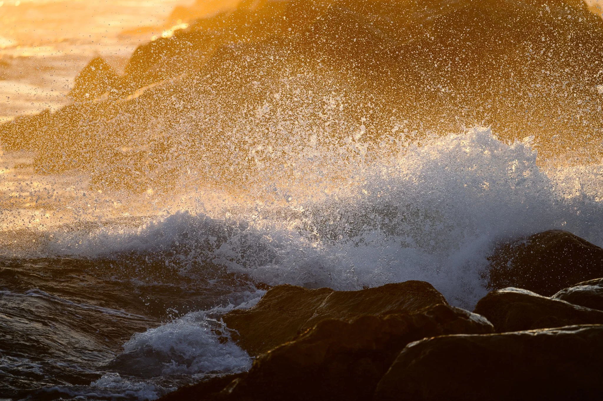 Ponce 9.14.23-69.jpg