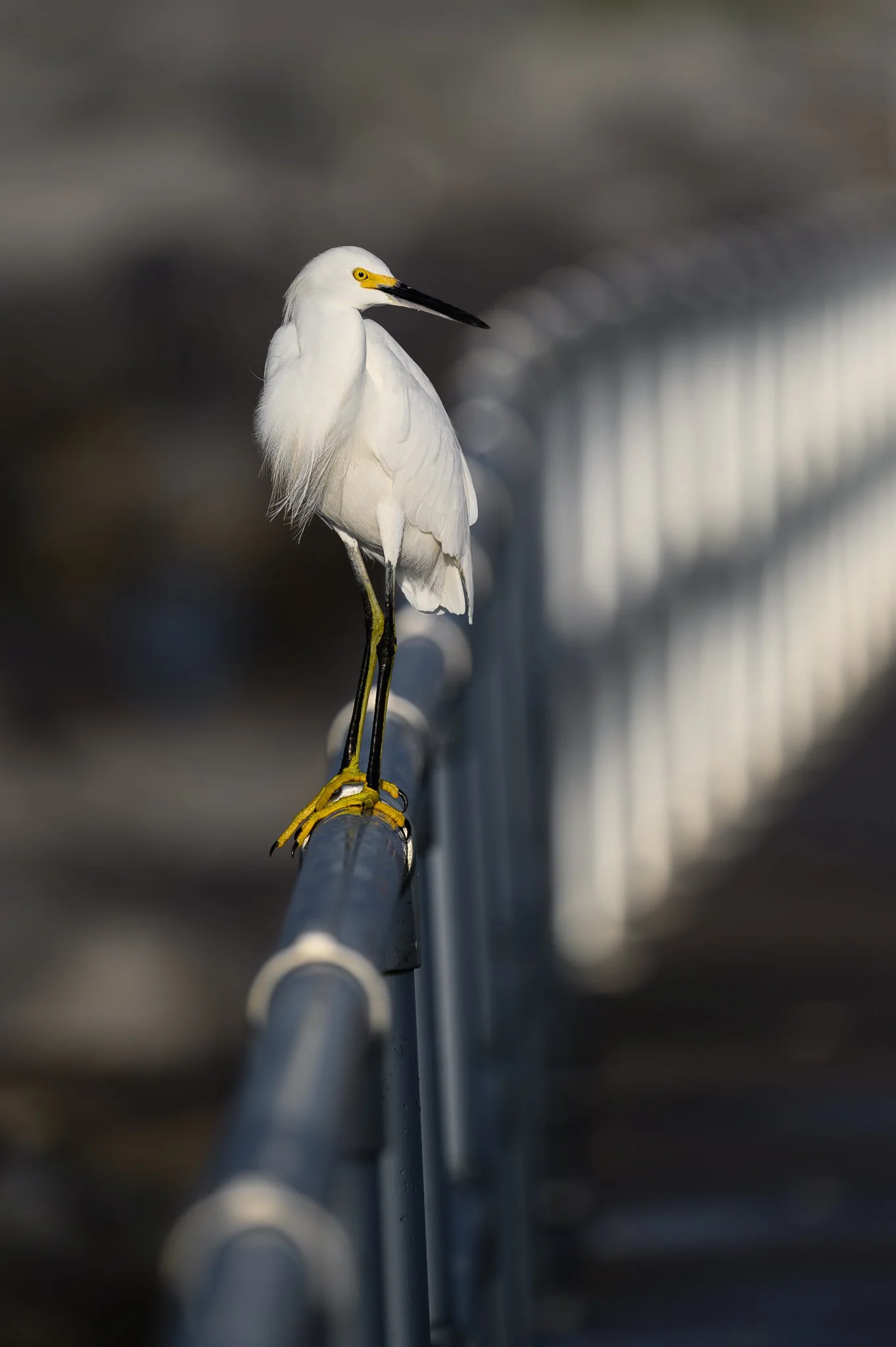 Ponce 9.14.23-74.jpg