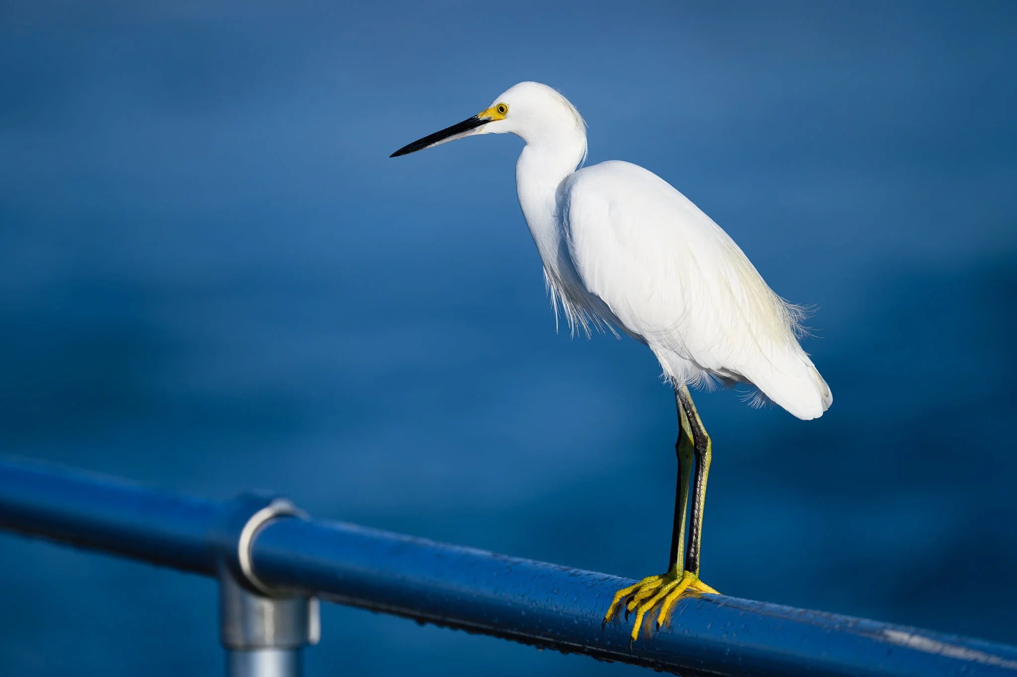 Ponce 9.14.23-73.jpg