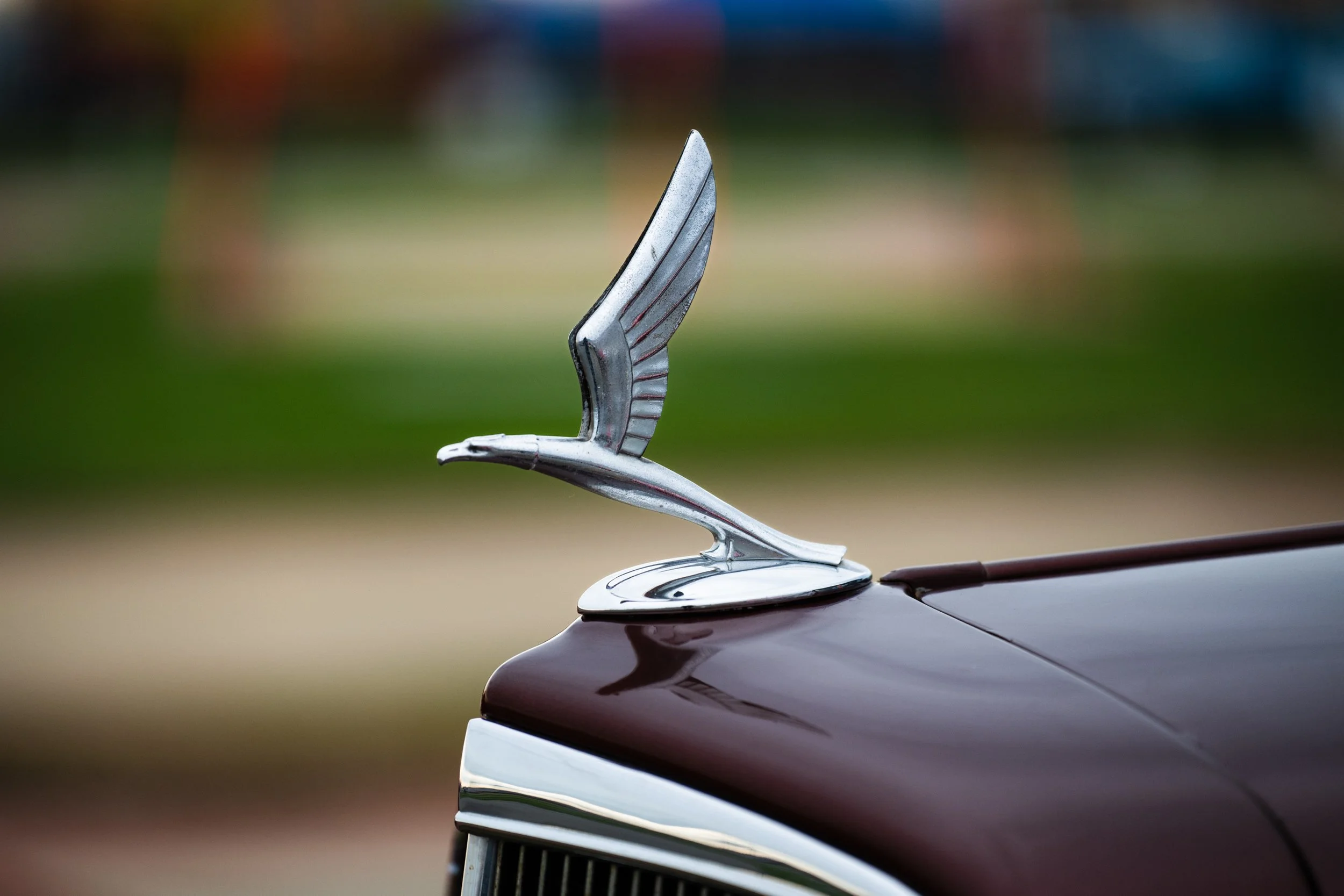 Daytona Turkey Run-35.jpg