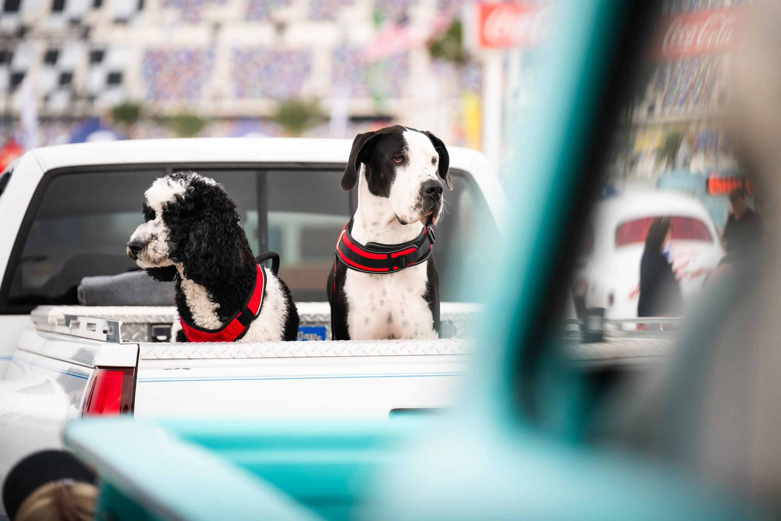 Daytona Turkey Run-67.jpg