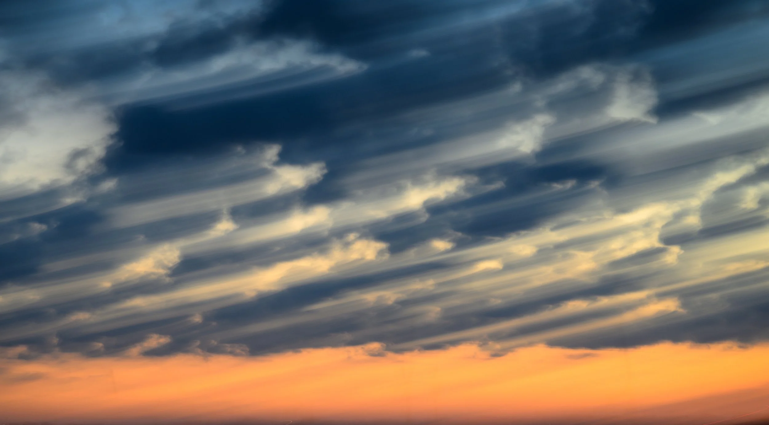 Abstract Ponce 2.3.24-9.jpg