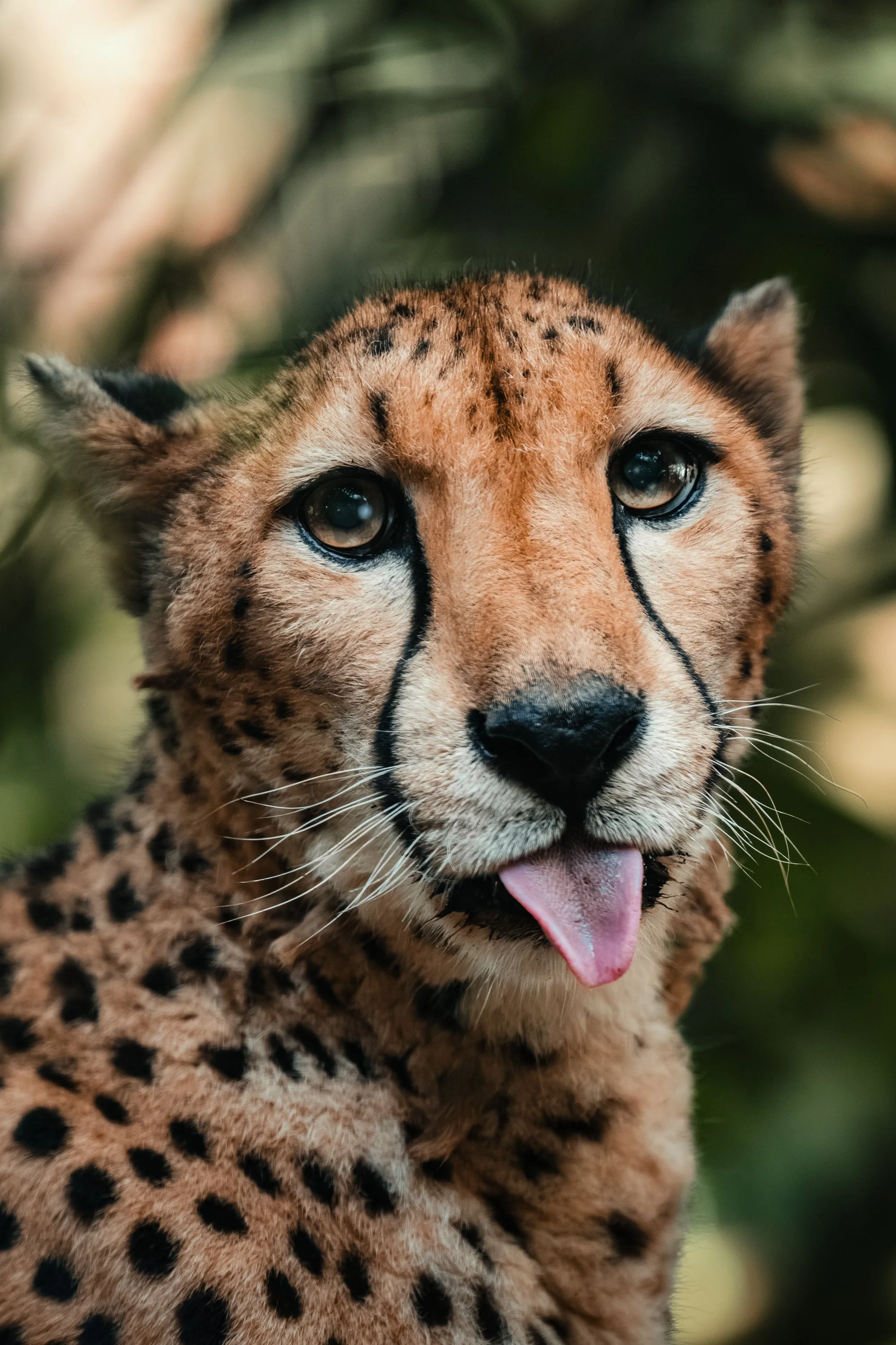 Brevard Zoo-28.jpg