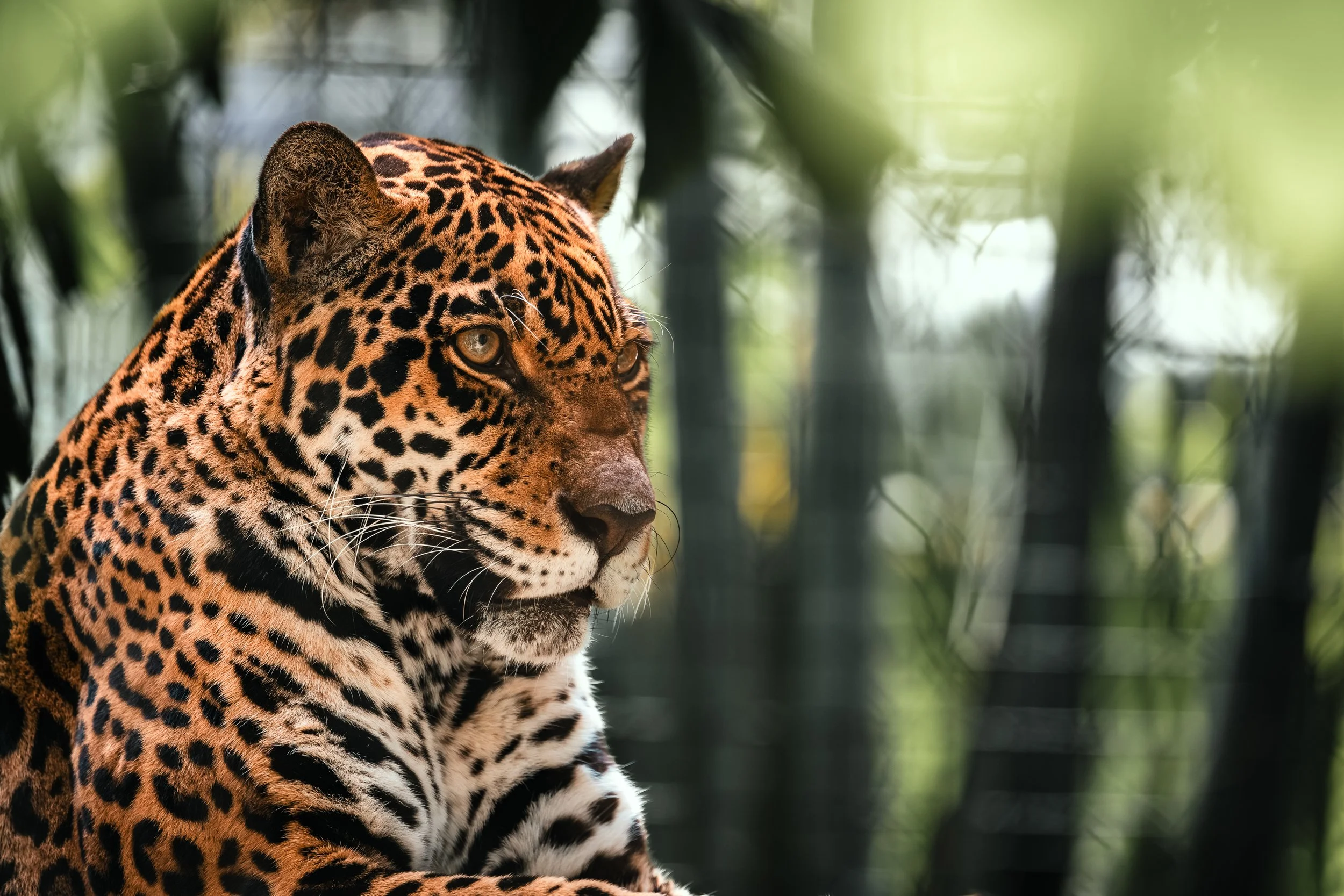 Brevard Zoo-44.jpg