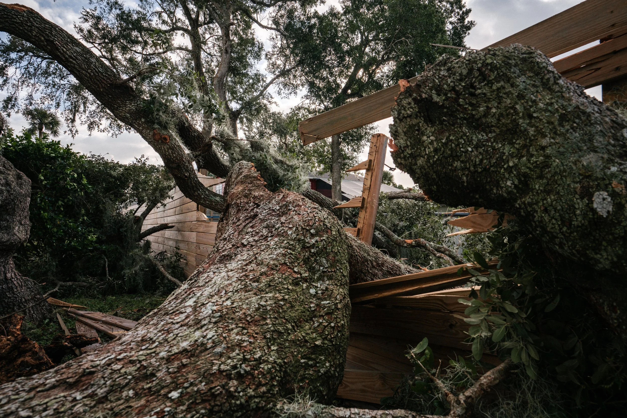 _DSC9587.jpg