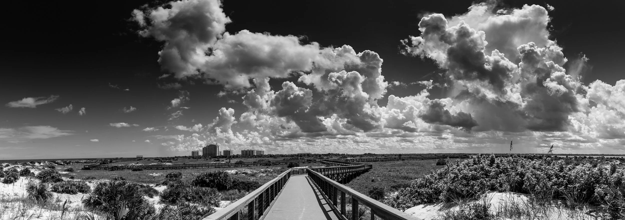 _DJS6686-Pano.JPG
