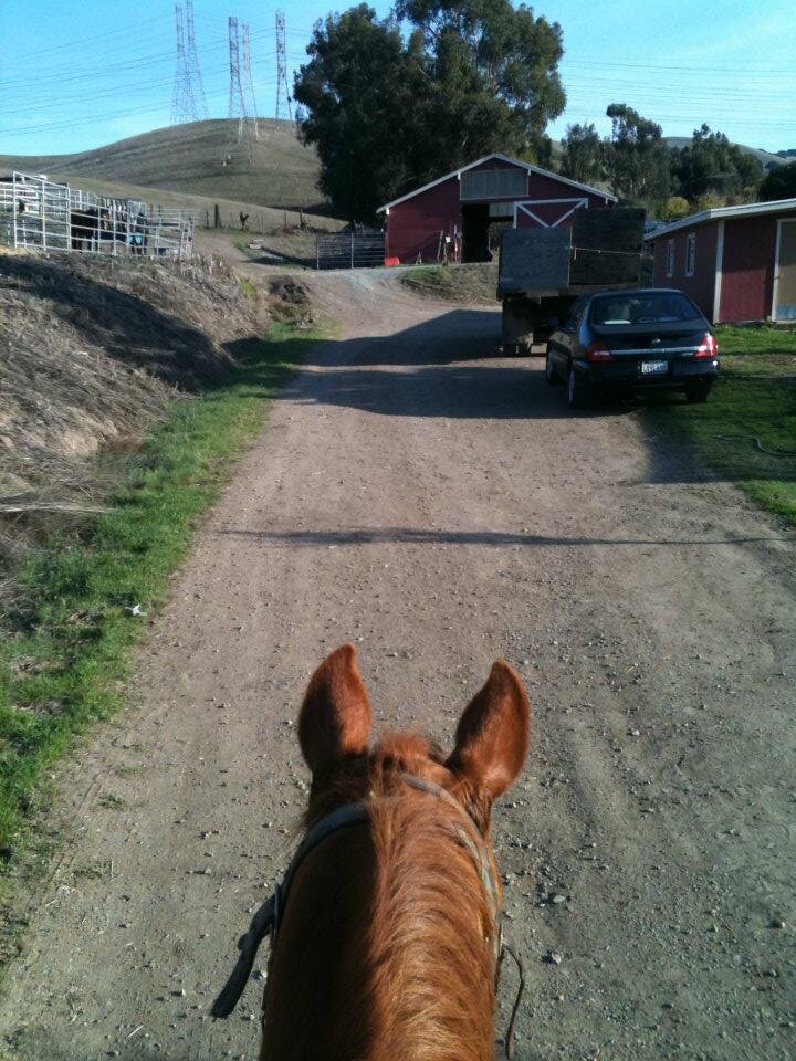 11-13-2011 Hillcrest Farm Sunol 002.jpg