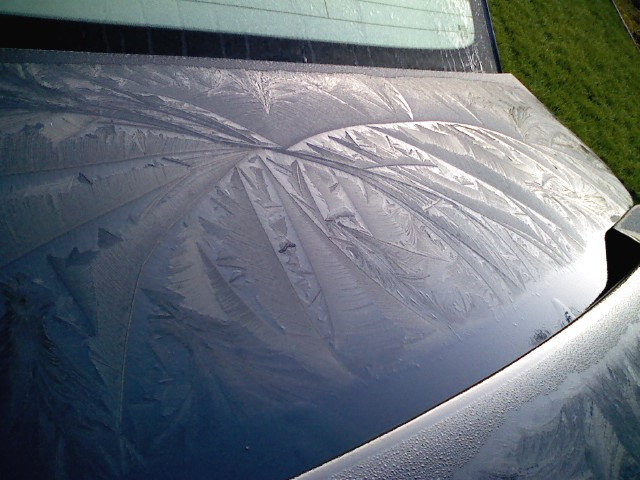 March 2010 Frost.jpg