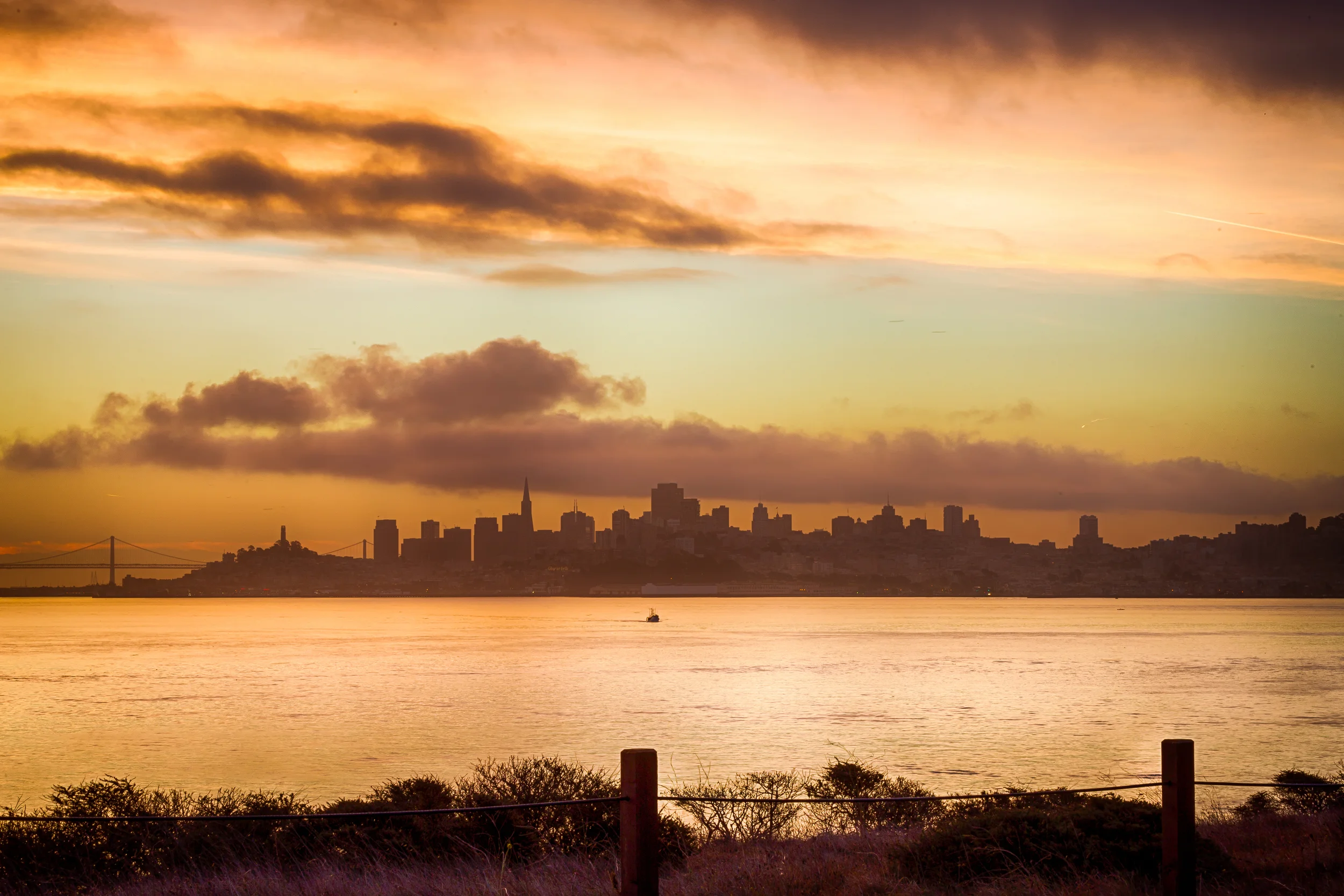 good morning san francisco-1.jpg