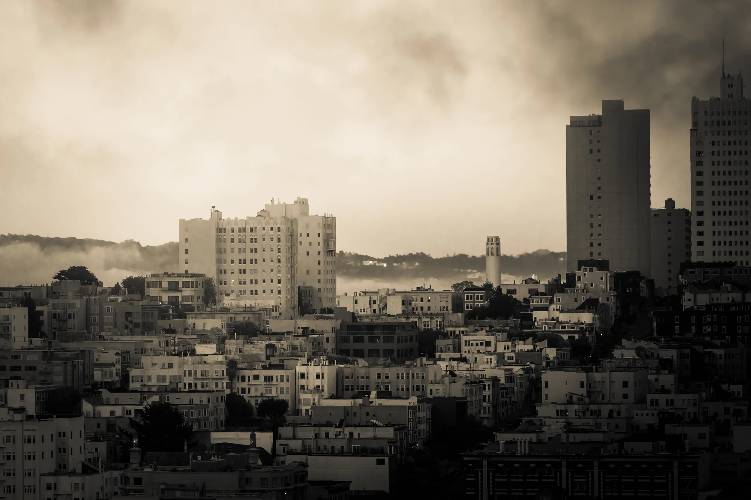 sf smokey-1.jpg